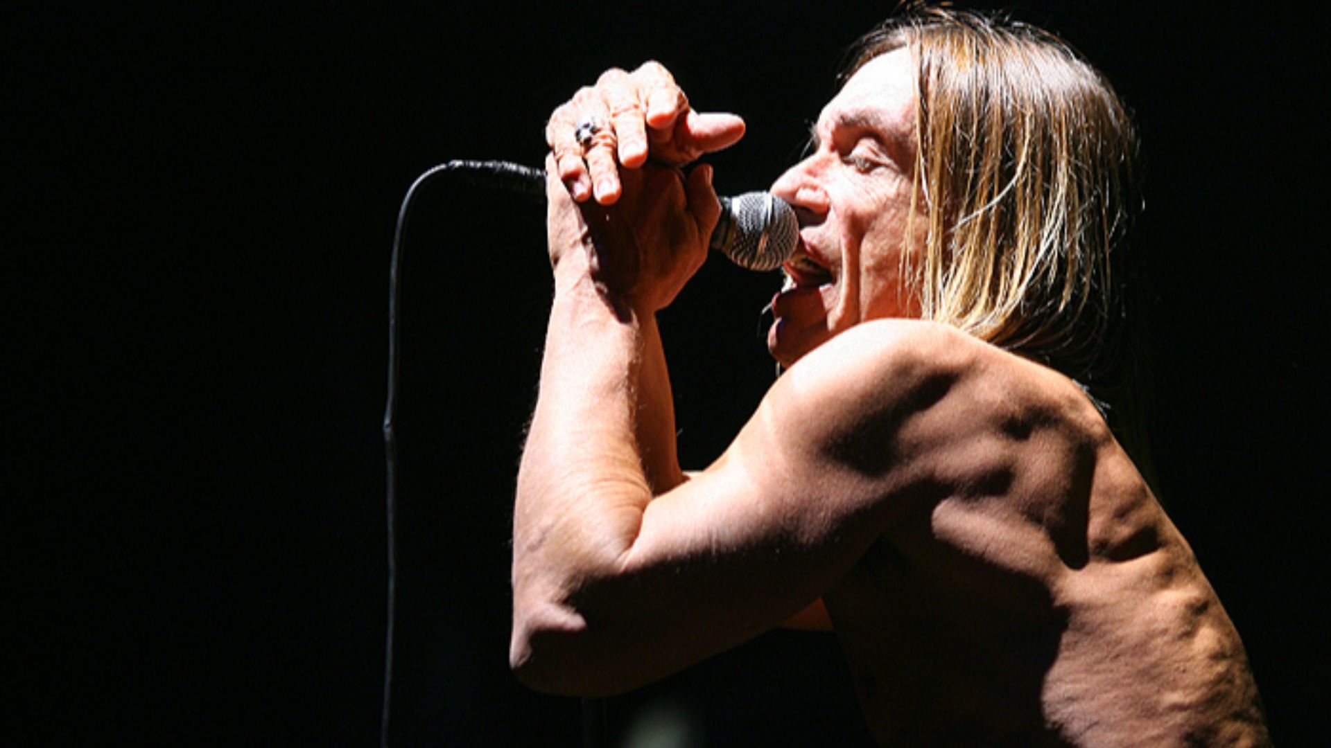 File:Iggy Pop 1.jpg