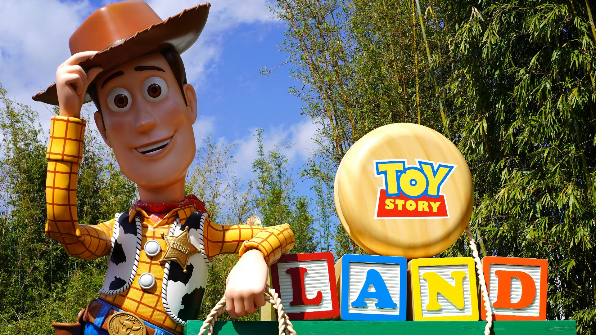 boy in blue and yellow button up shirt with brown hat