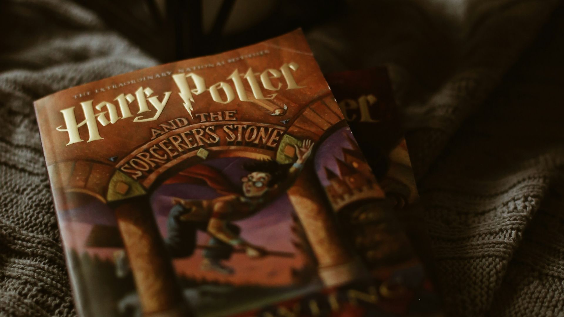 the lion king book on black textile