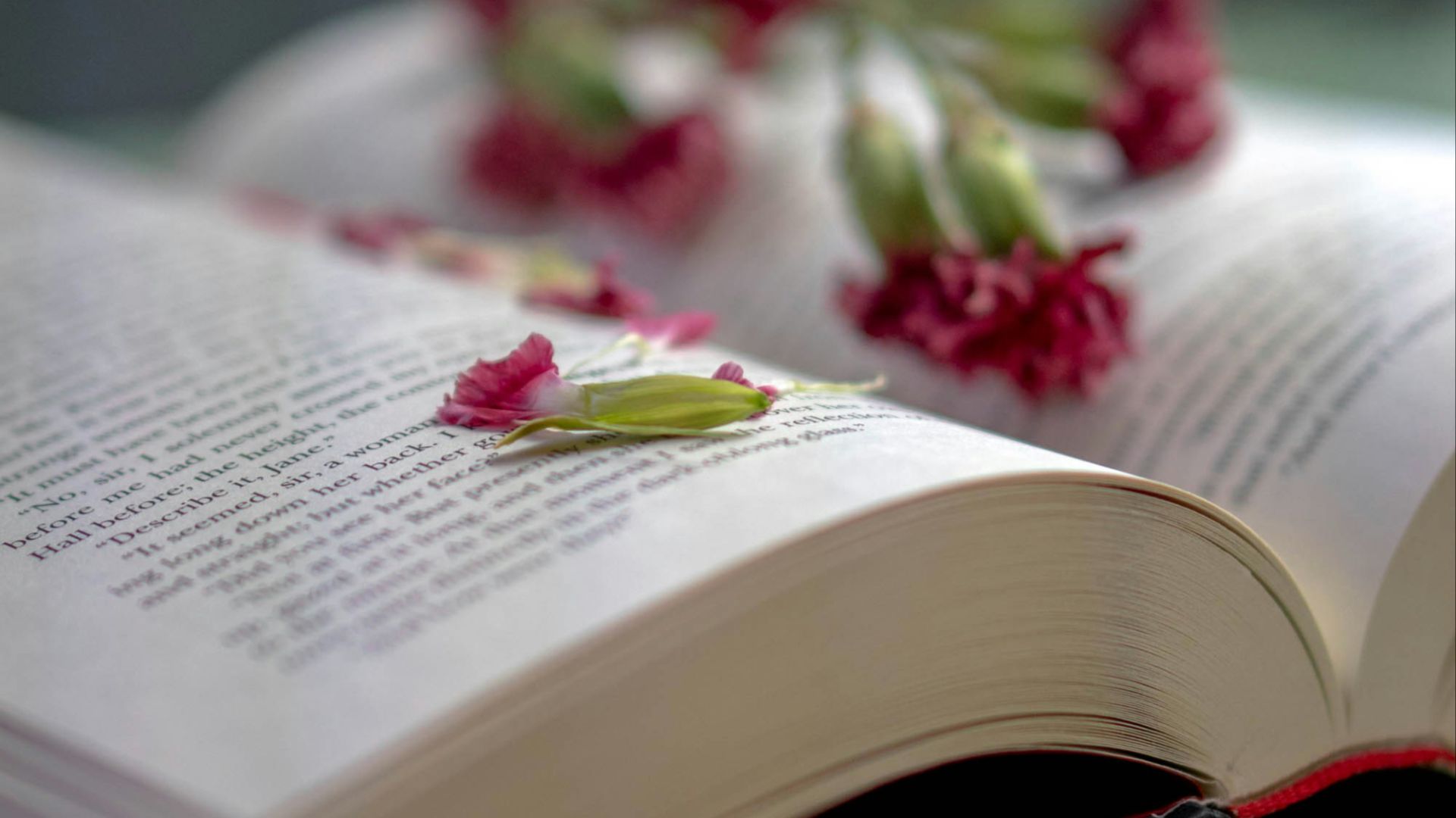 red and white flowers on book page
