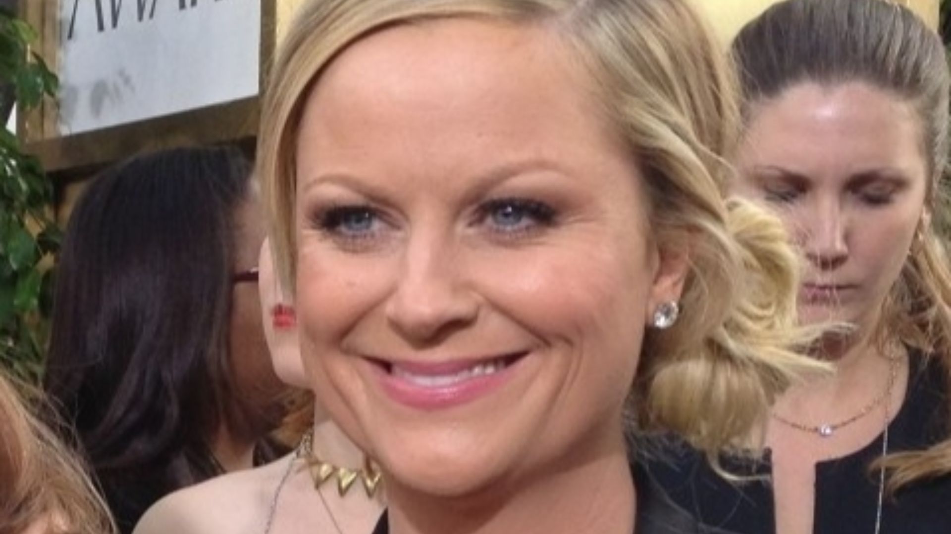 File:Amy Poehler 2013.jpg