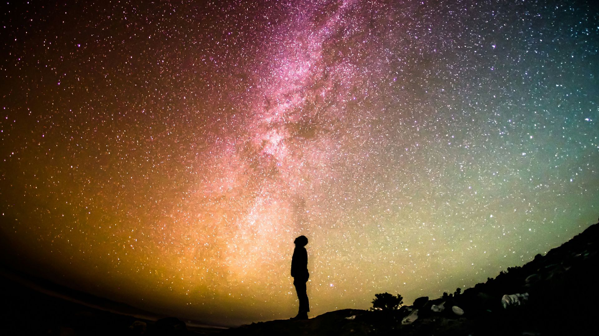 silhouette photography of person