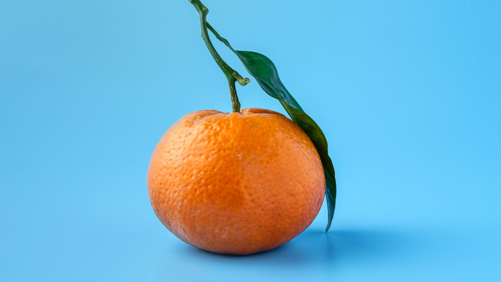 orange fruit