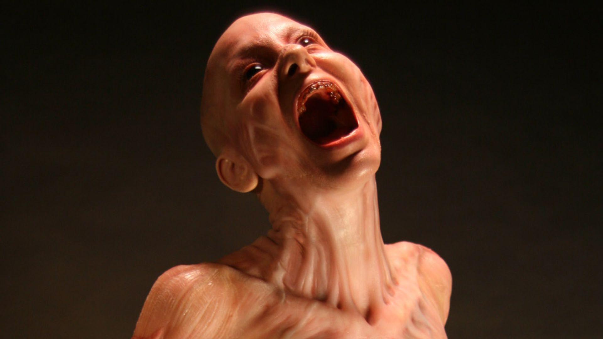 File:IAL Hemocyte makeup test.jpg