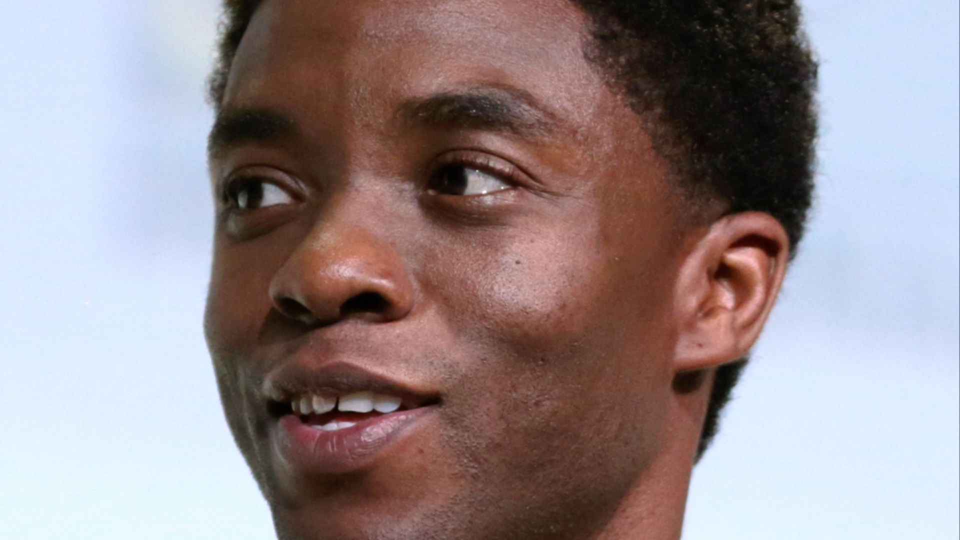 File:Chadwick Boseman (28017825484) (cropped 2).jpg