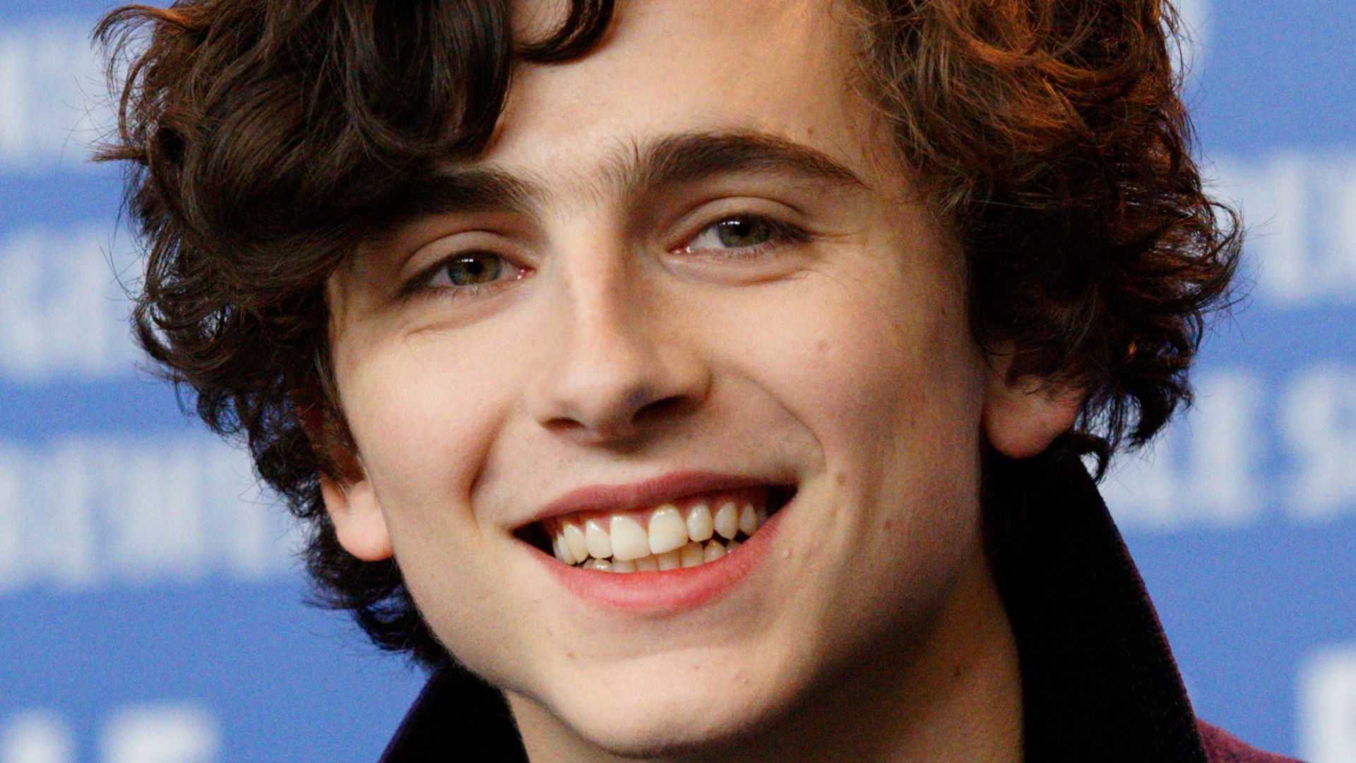 File:Timothée Chalamet 2017 Berlinale.jpg
