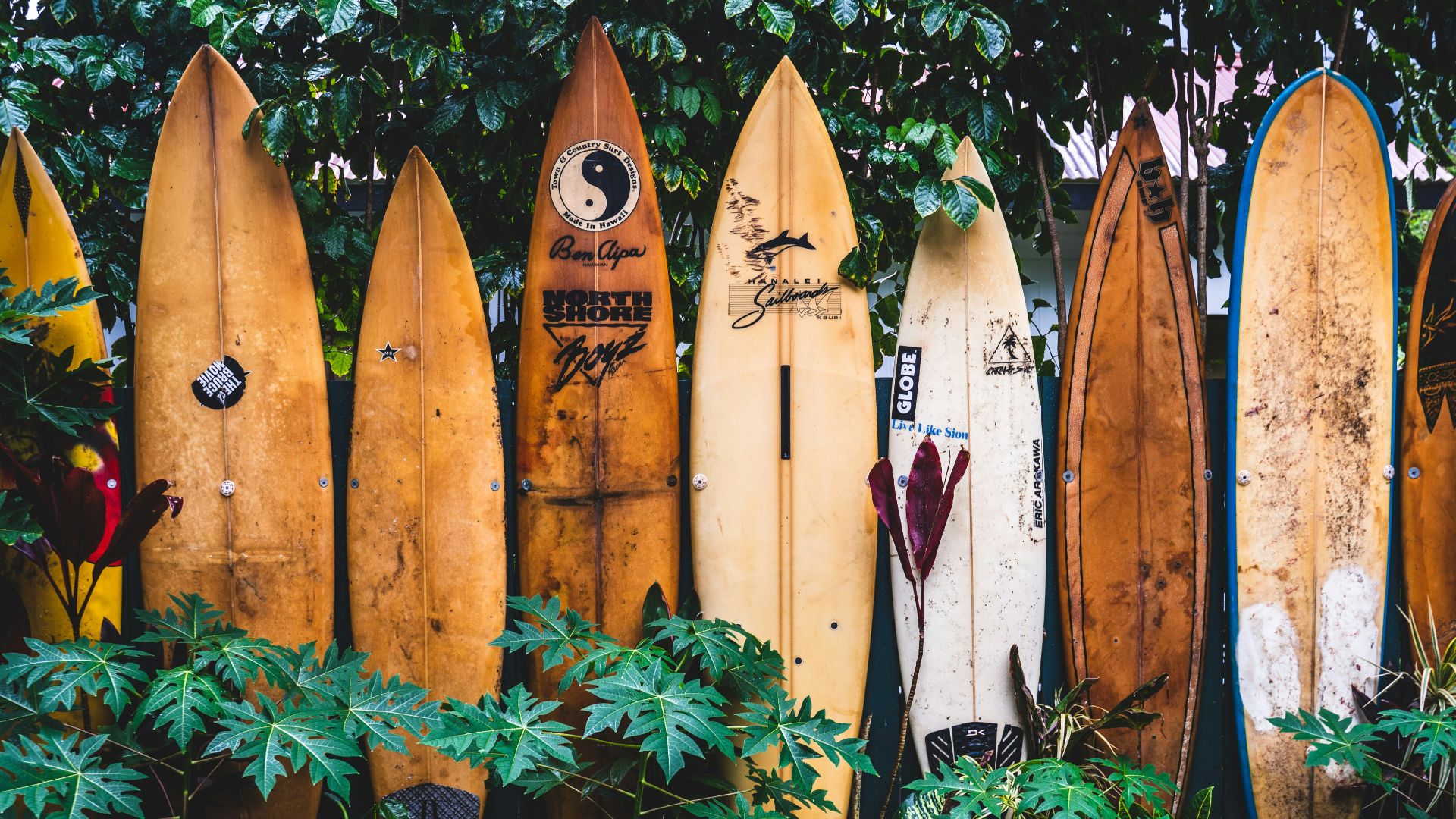 brown wooden clothes hangers on green plants