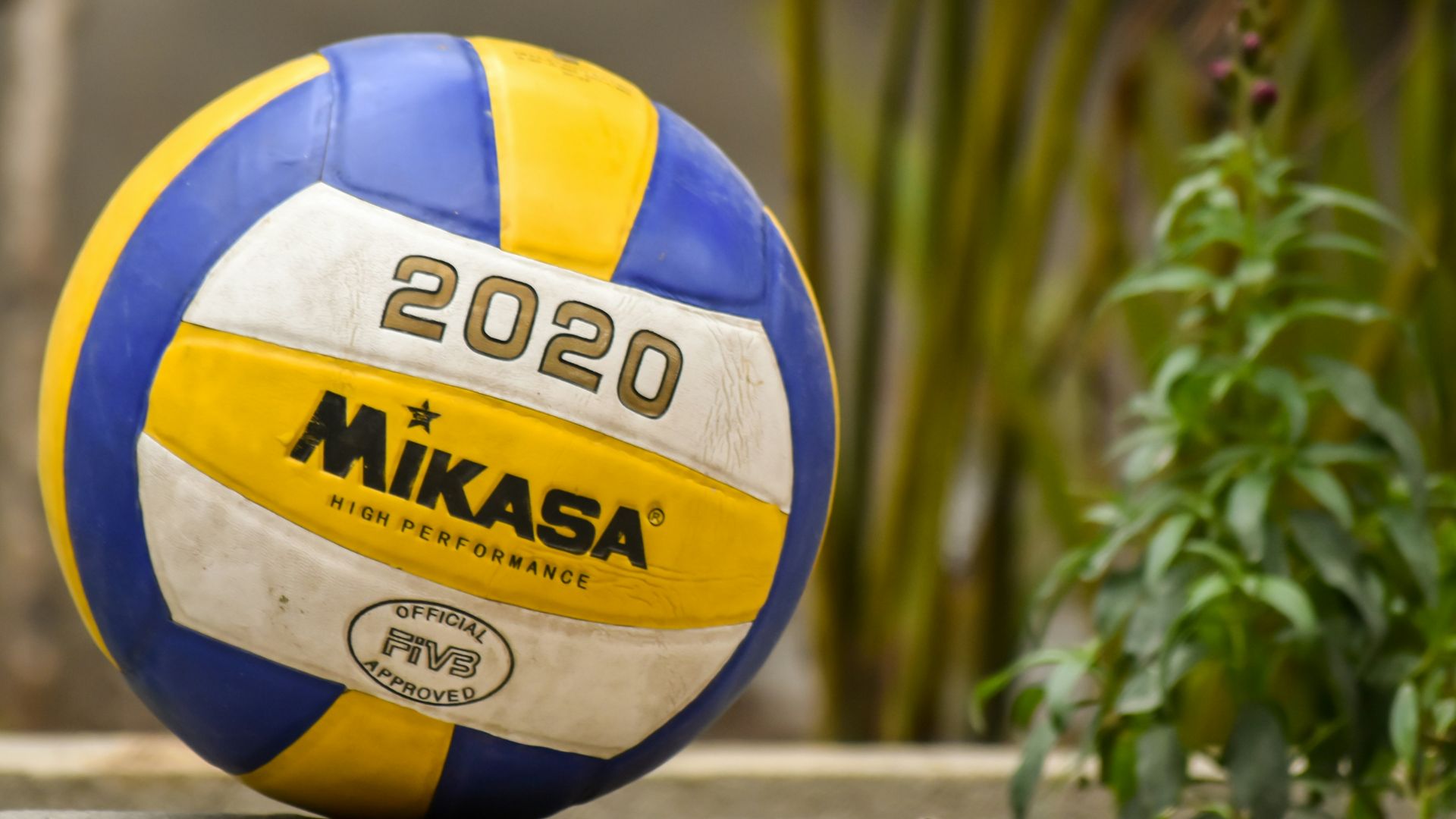 yellow and blue volleyball on brown wooden fence