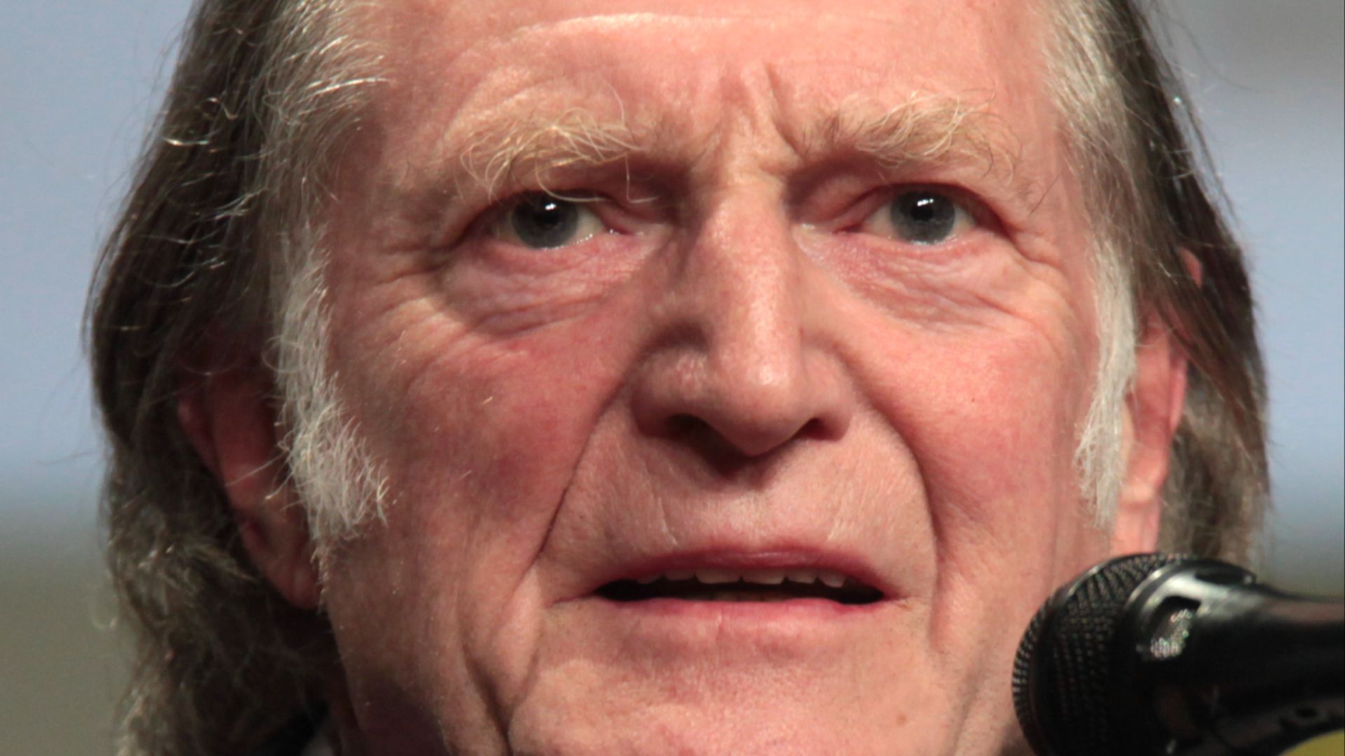 File:David Bradley SDCC 2014.jpg