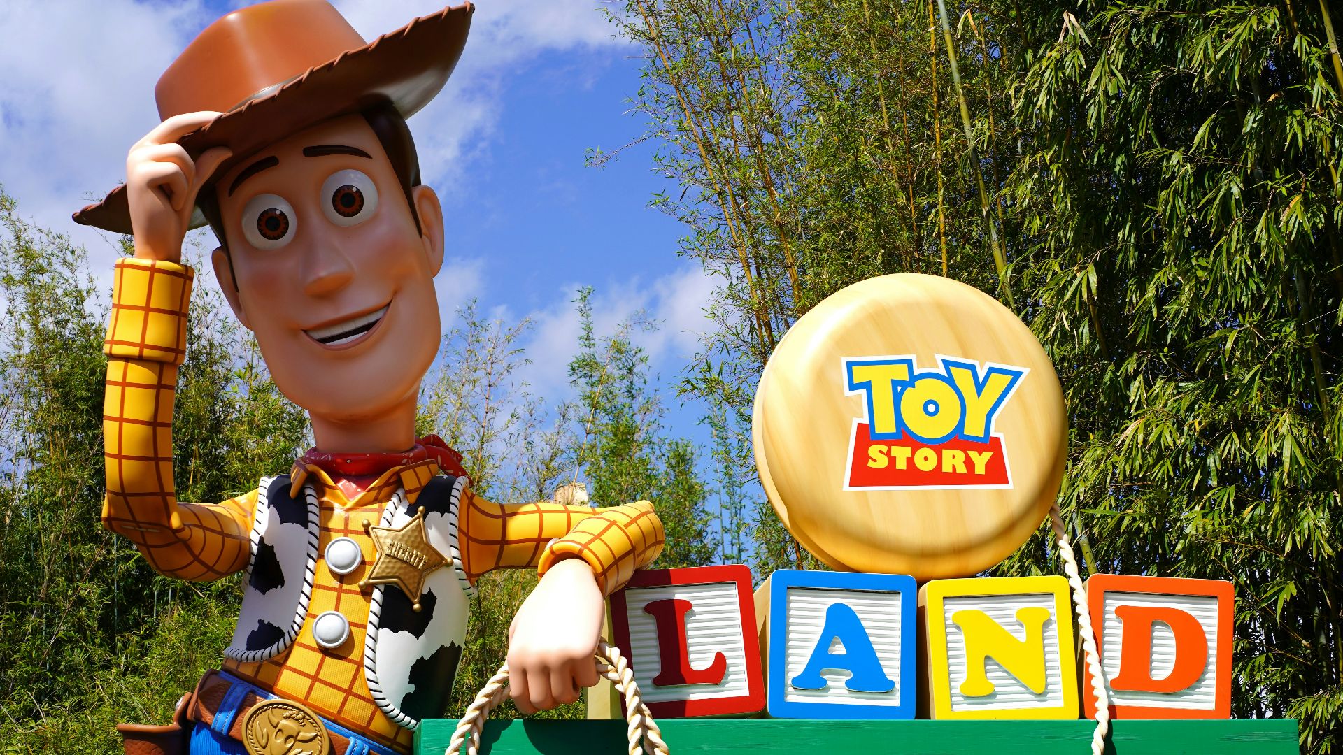 boy in blue and yellow button up shirt with brown hat