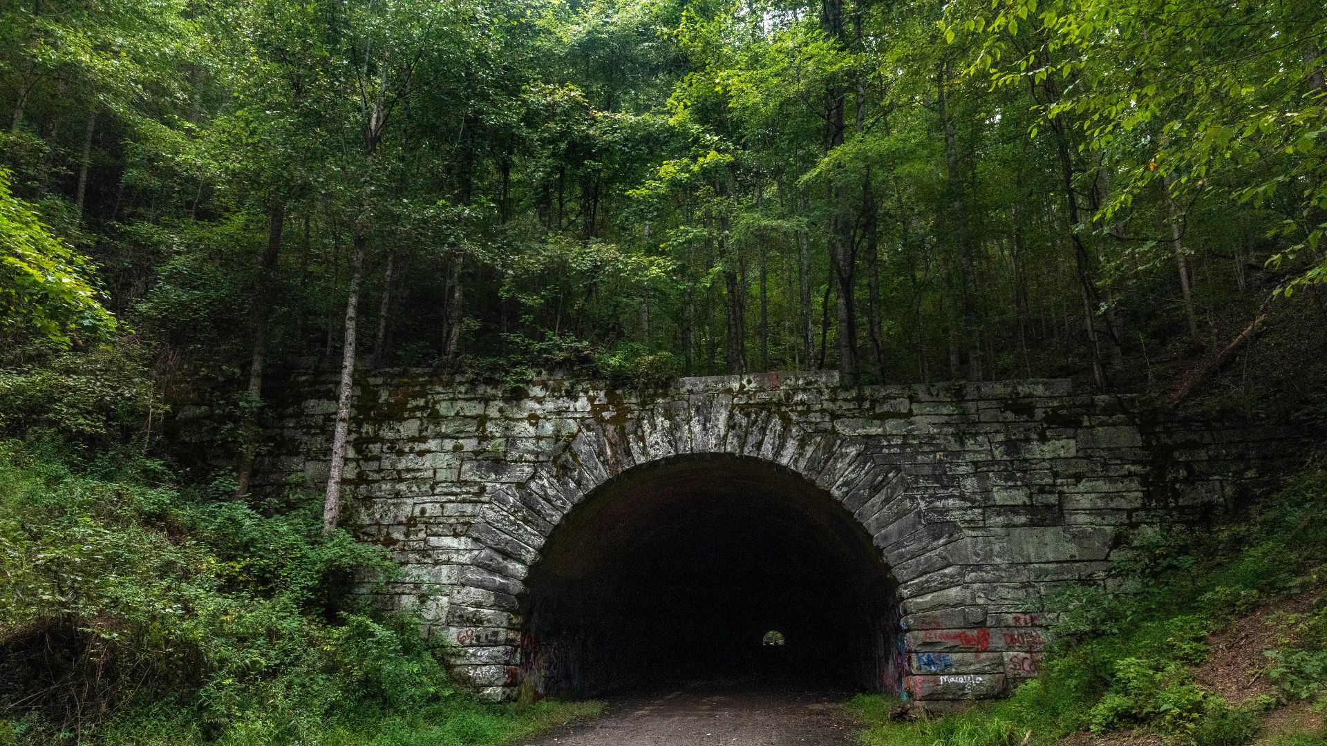gray concrete tunnel with green trees