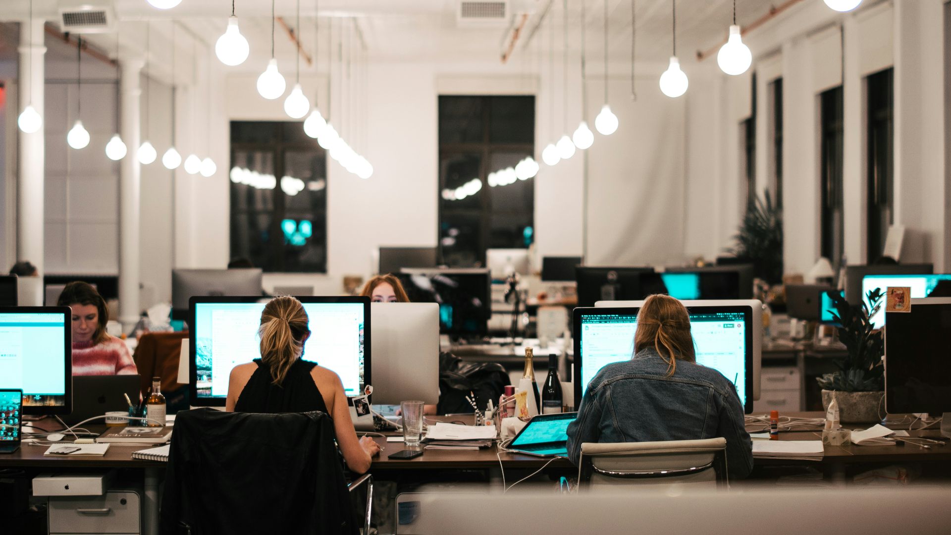 people sitting on chair in front of computer