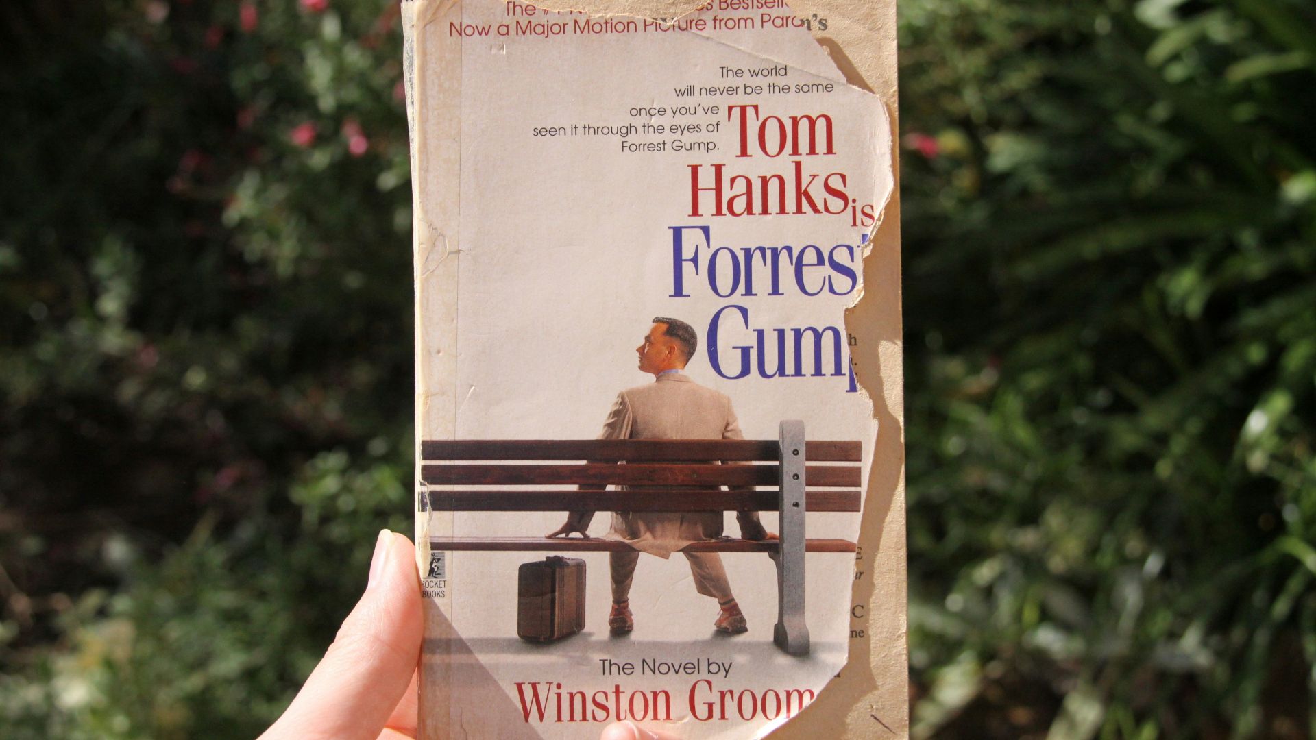 a hand holding a book