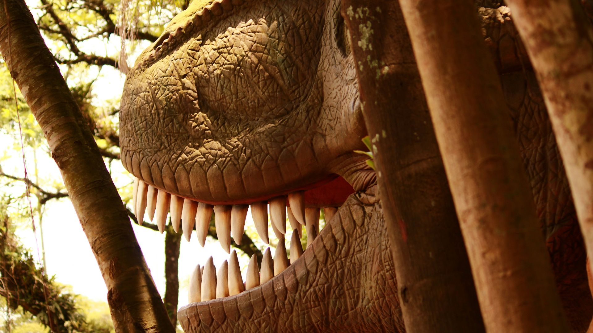 A close up of a dinosaur head in the woods