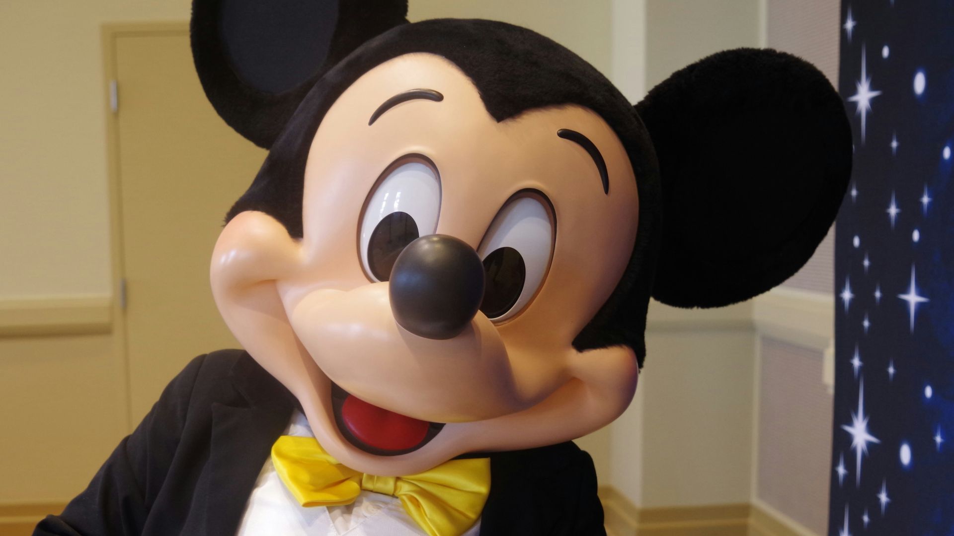 a person dressed in a mickey mouse costume