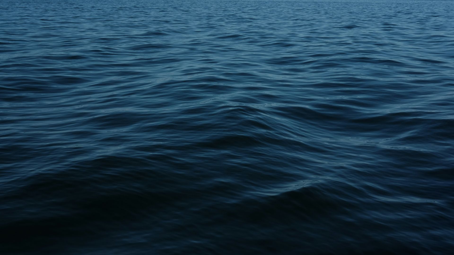 body of water during daytime