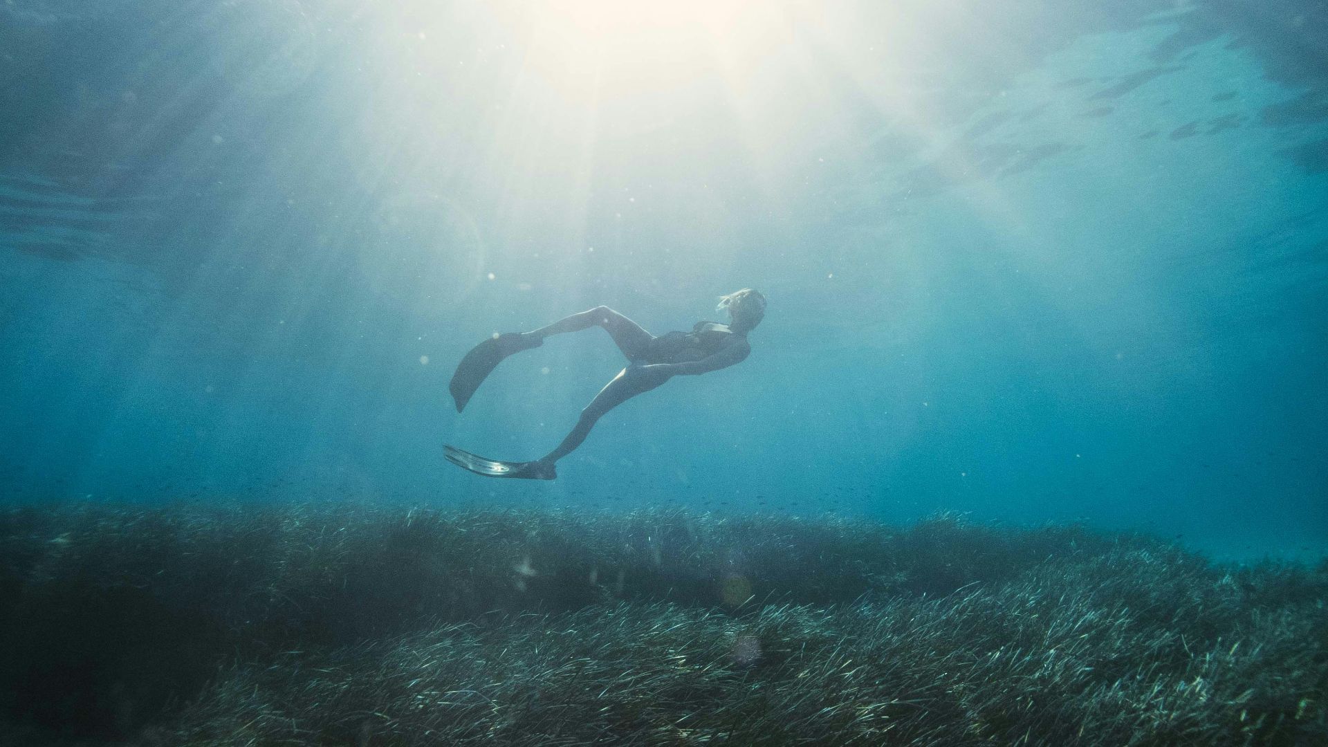 woman in black bikini swimming in water