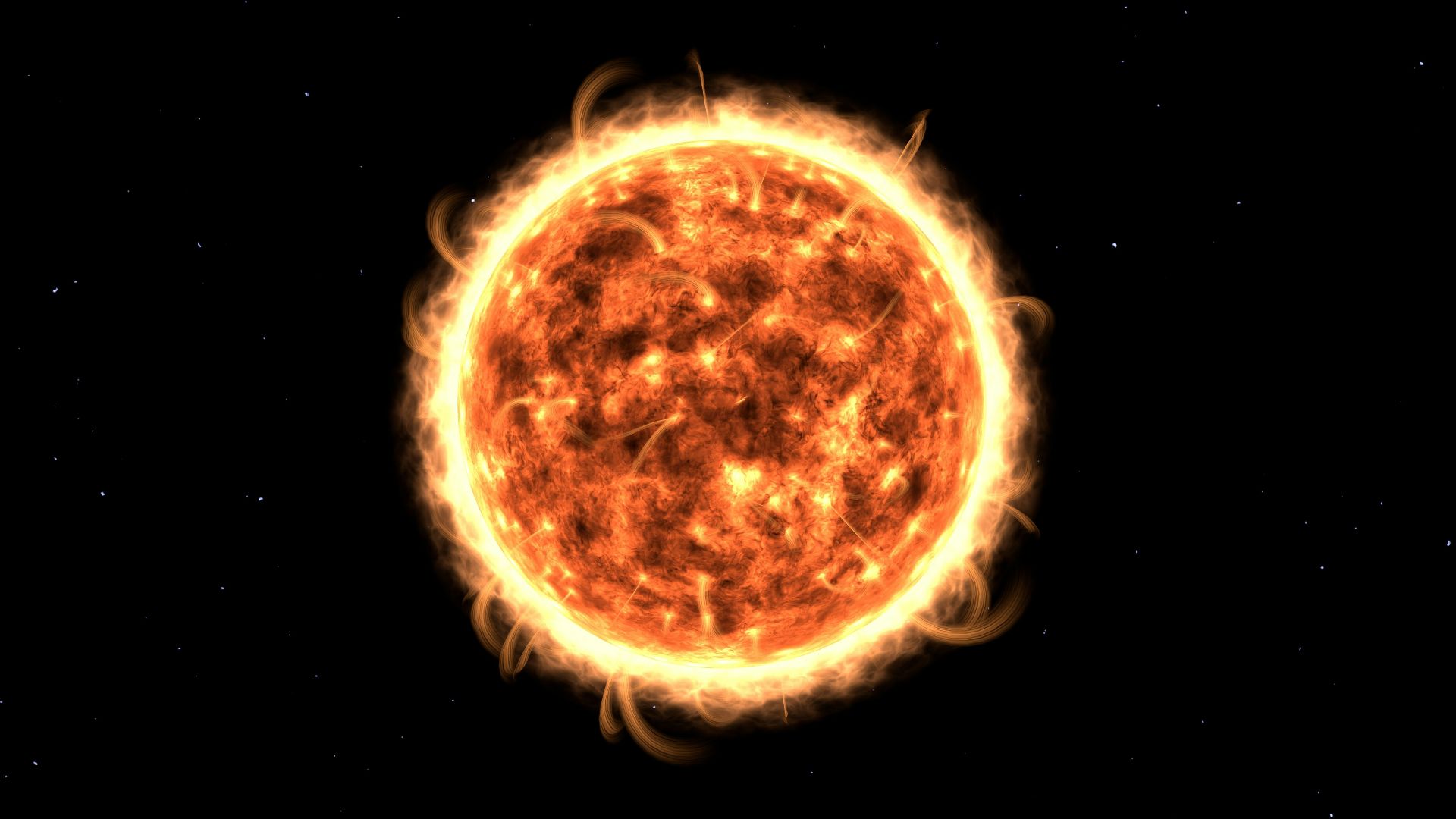 round brown and black illustration