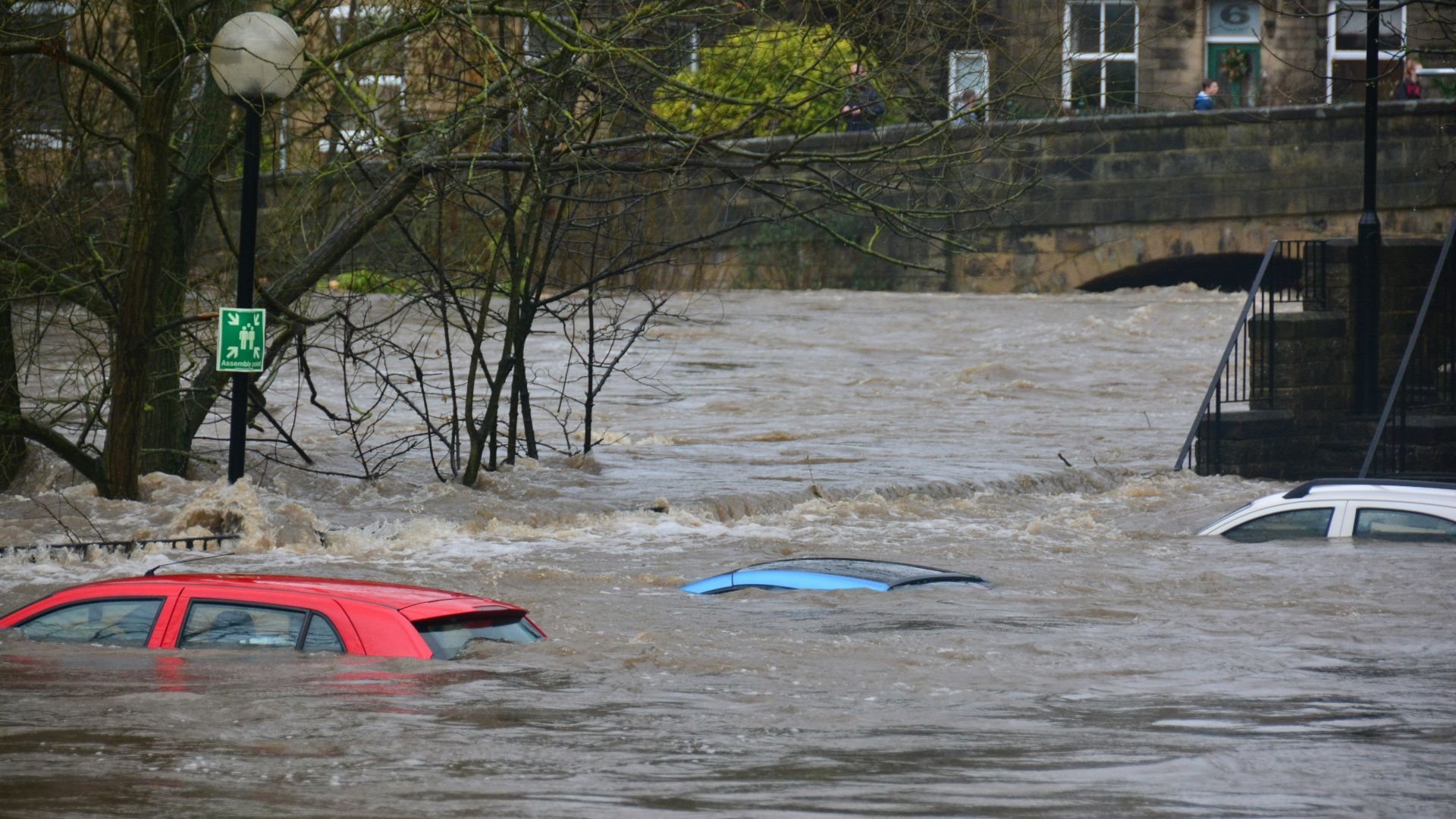 car on body of water