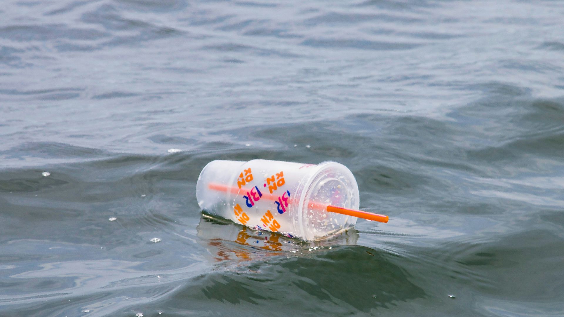 white and red plastic cup on water