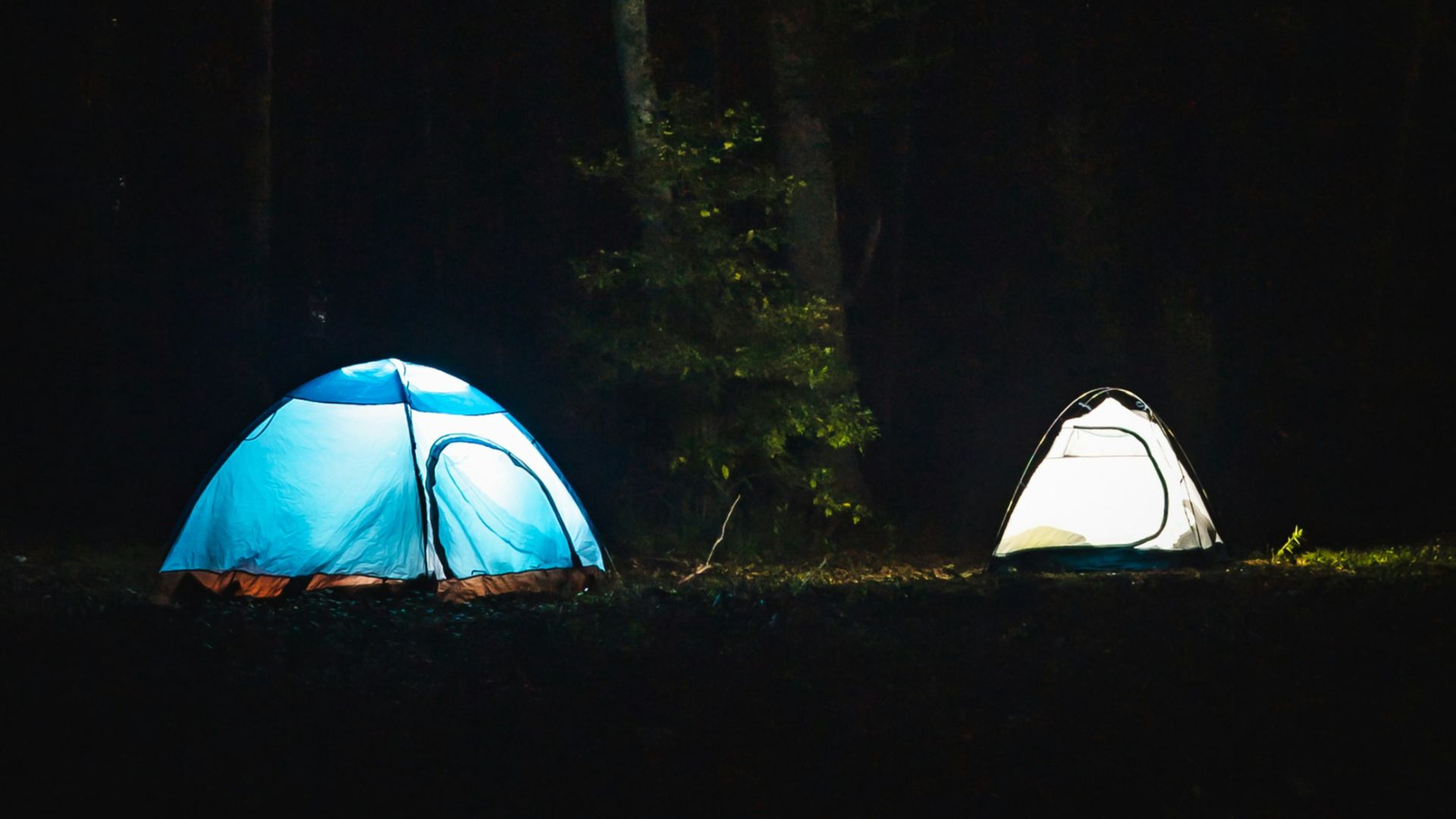 blue and white tent in forest during night time