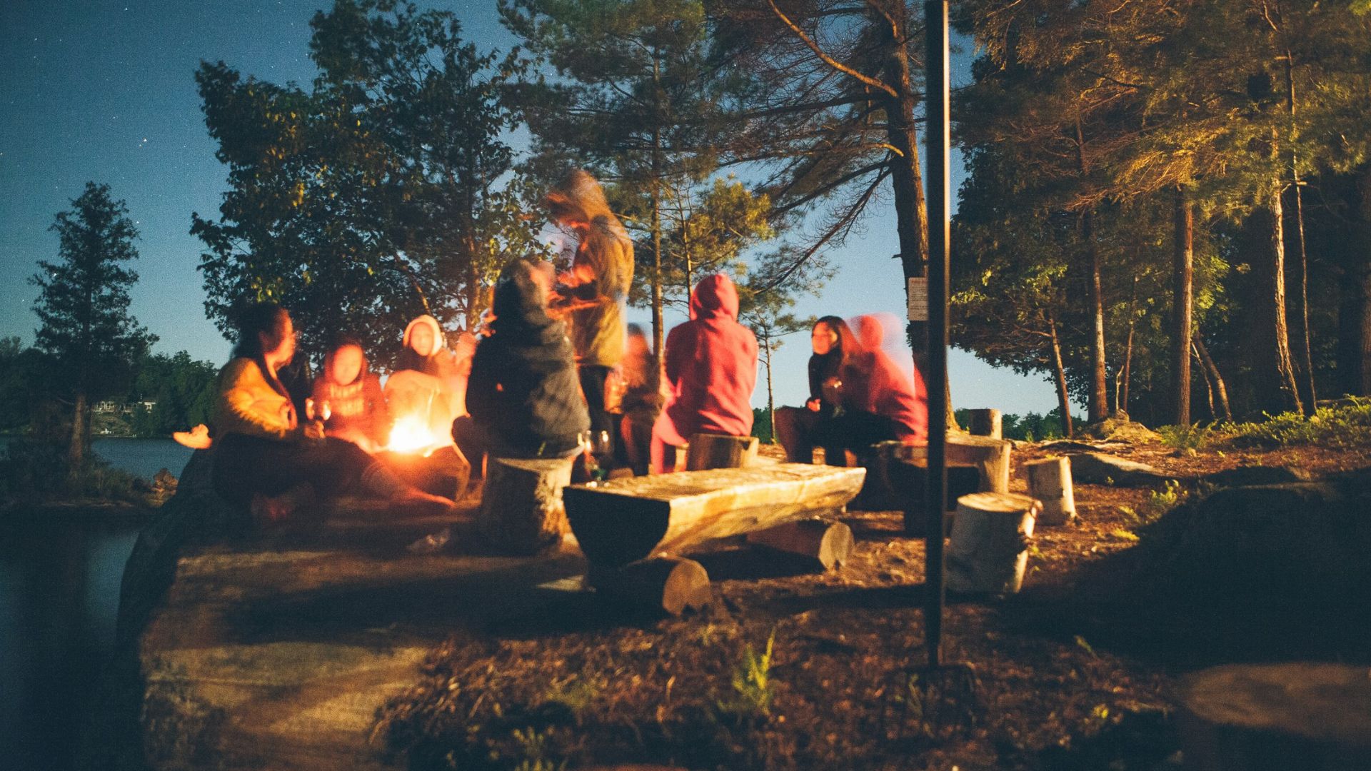 group of people near bonfire near trees during nighttime
