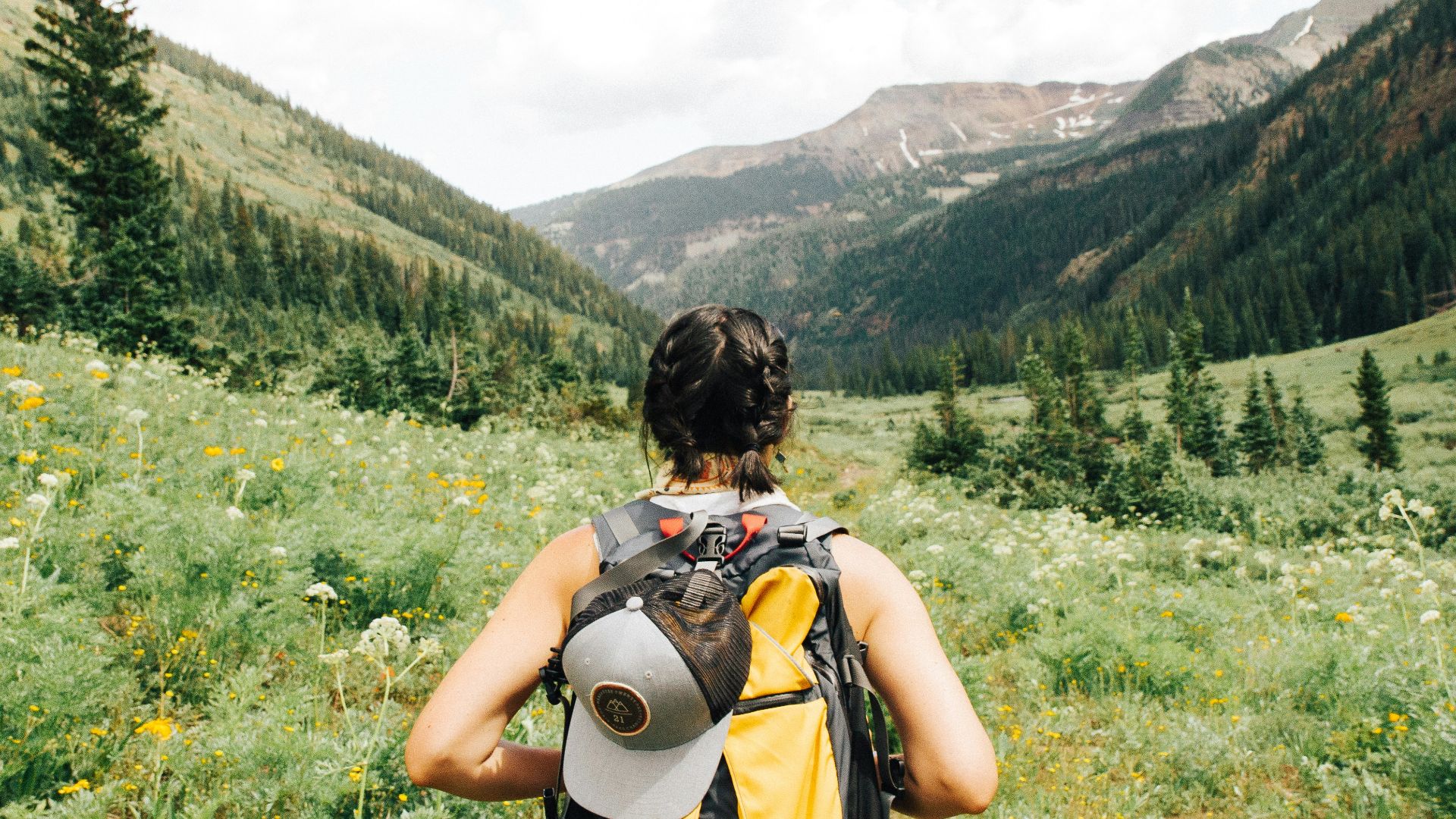 person carrying yellow and black backpack walking between green plants