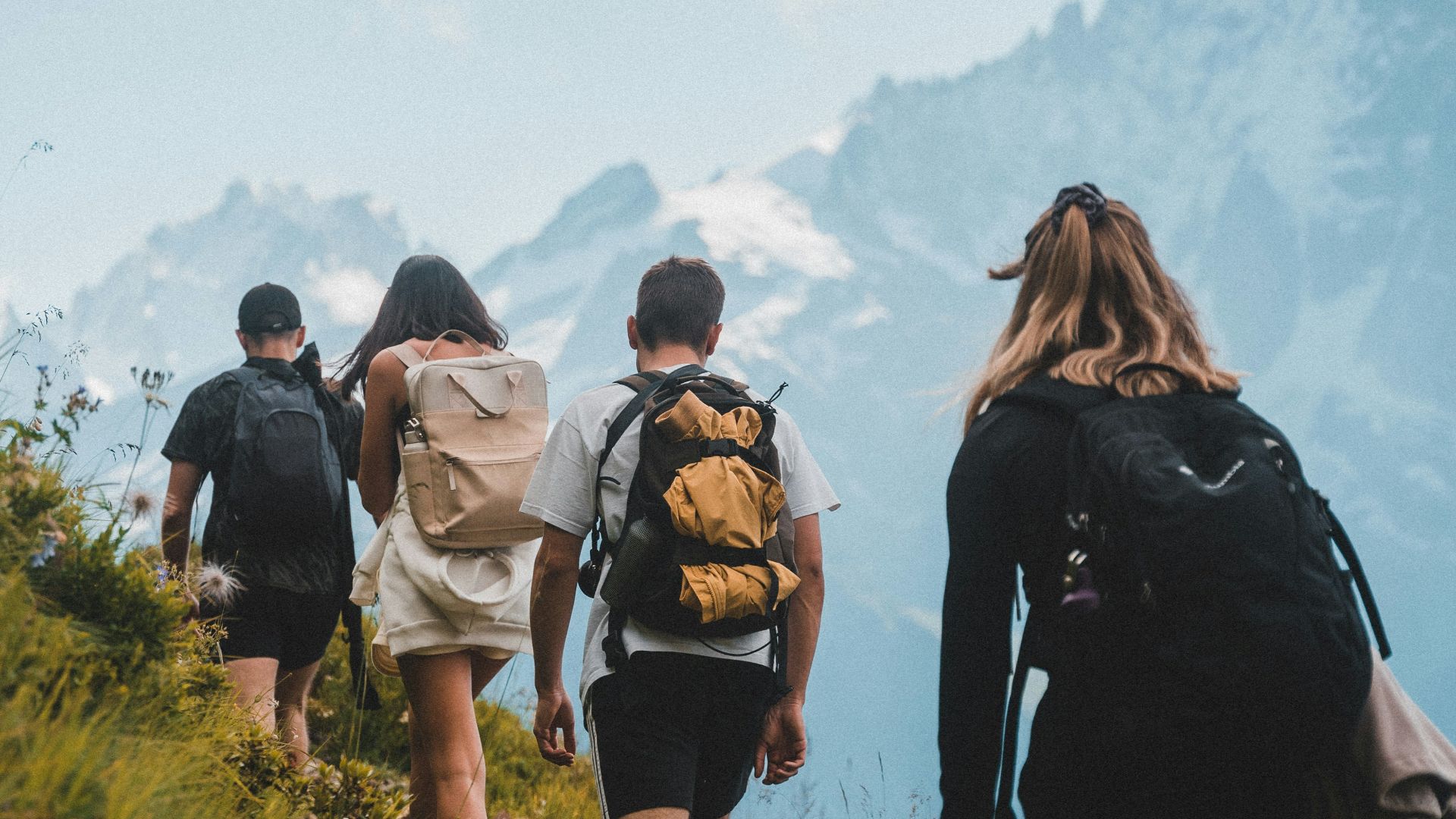 people walking on green grass field during daytime