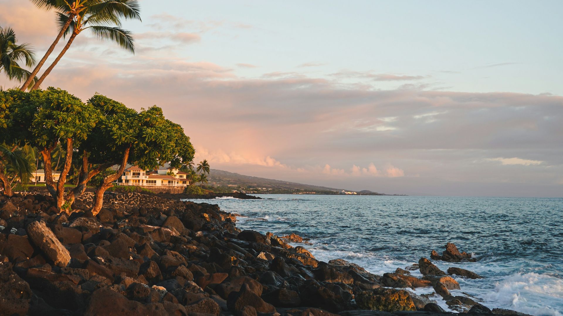 a rocky beach with palm trees and the ocean in the background