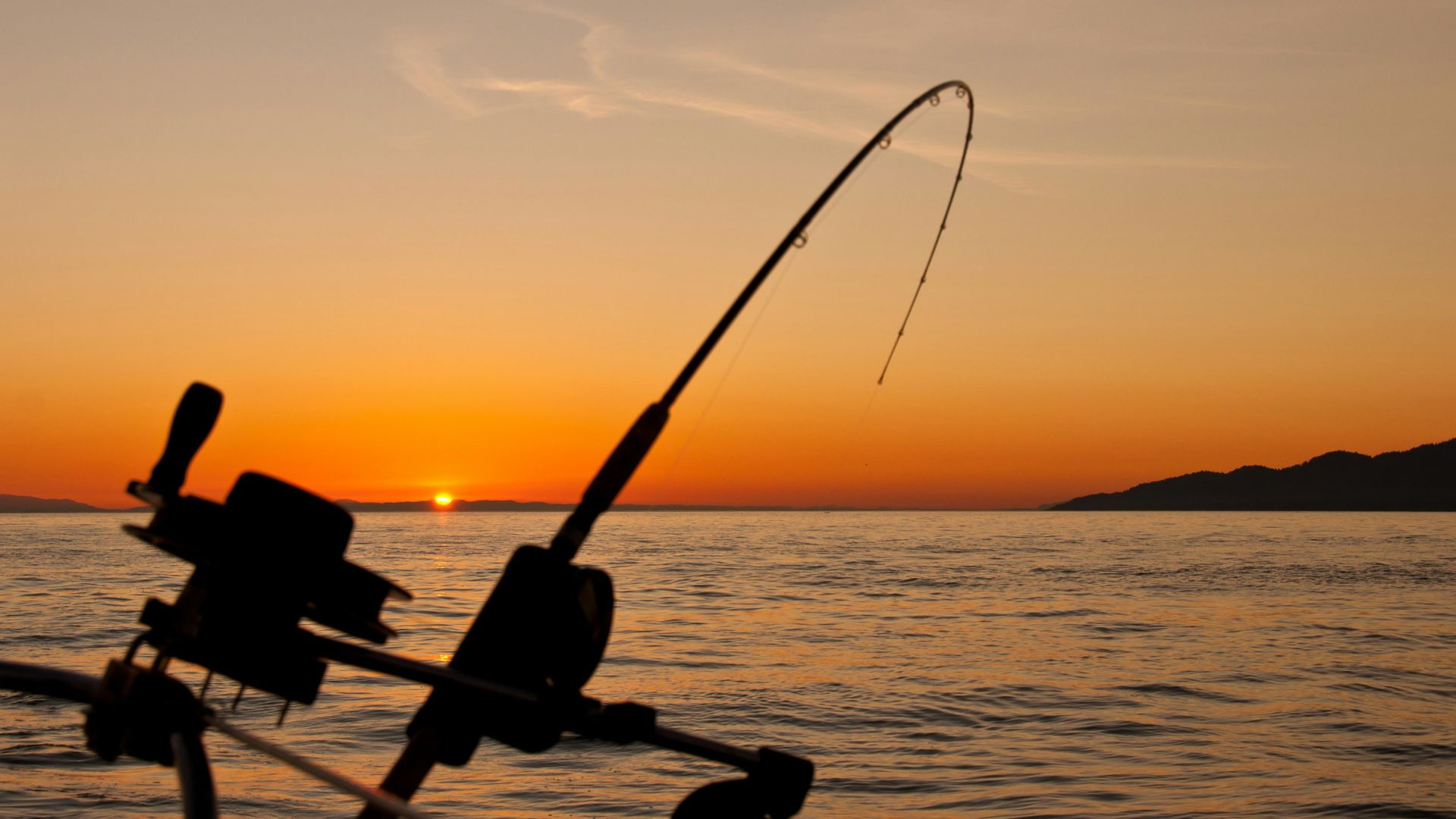 black fishing rod and body of water during golden hour