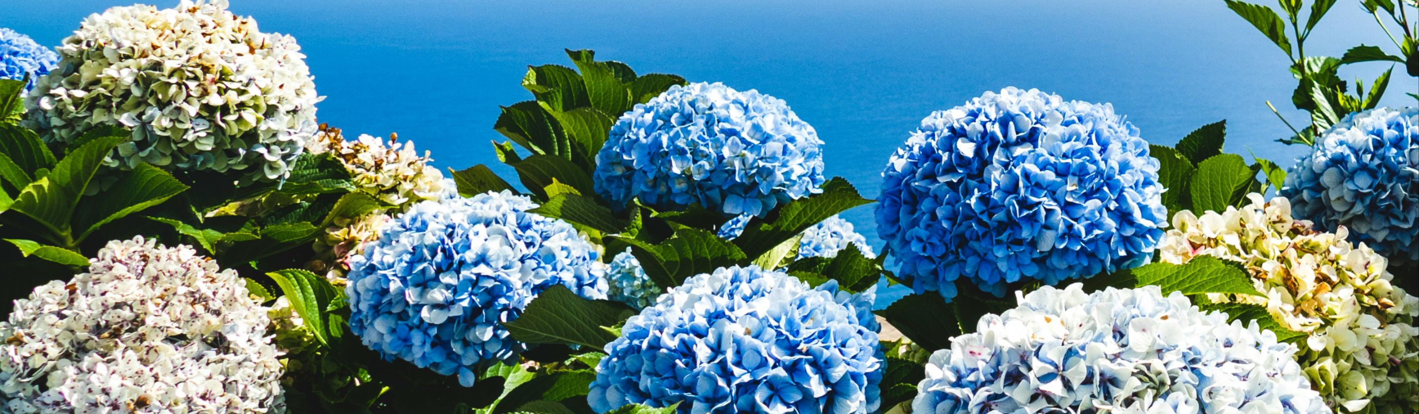 178284309797aa9dbe52422207b26ce5771ad42daa699a8856.jpg