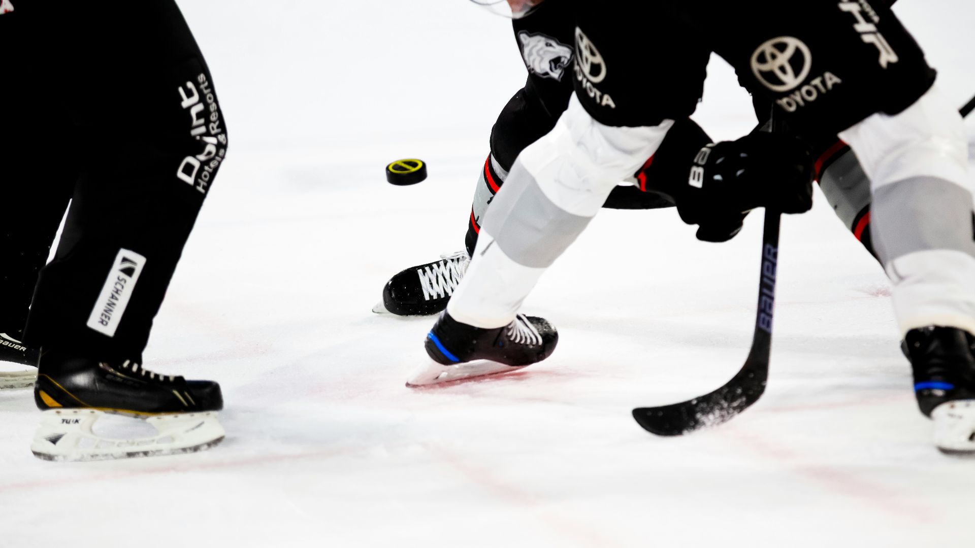 people playing ice hockey