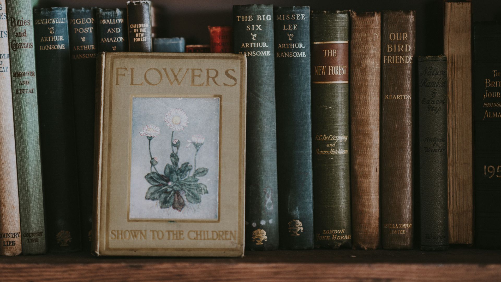 Flowers Shown to the Children book on shelf