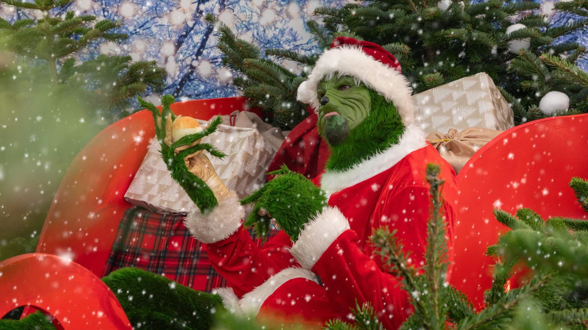 File:Ryan Swain as The Grinch.jpg