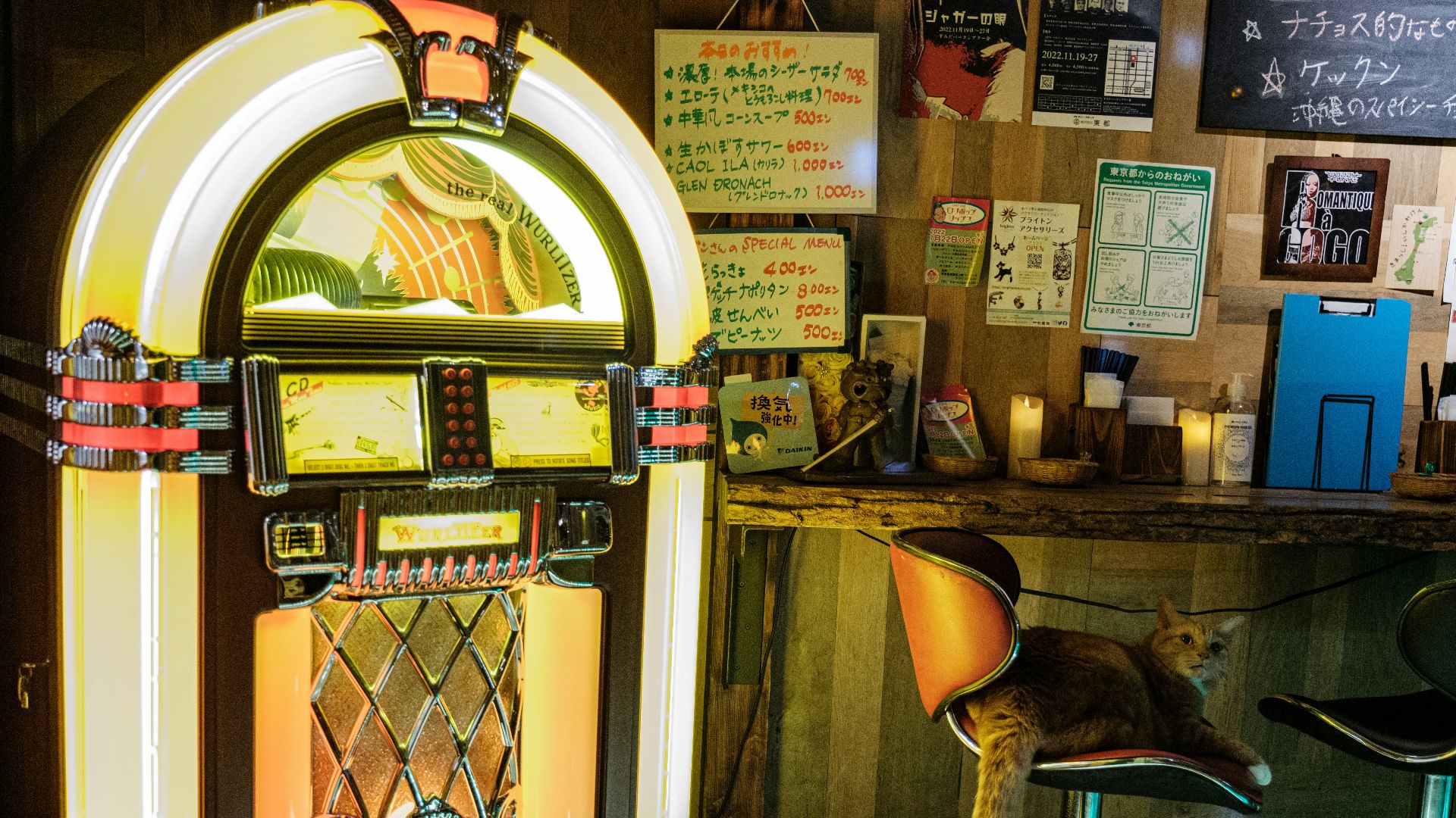 a cat sitting on a chair