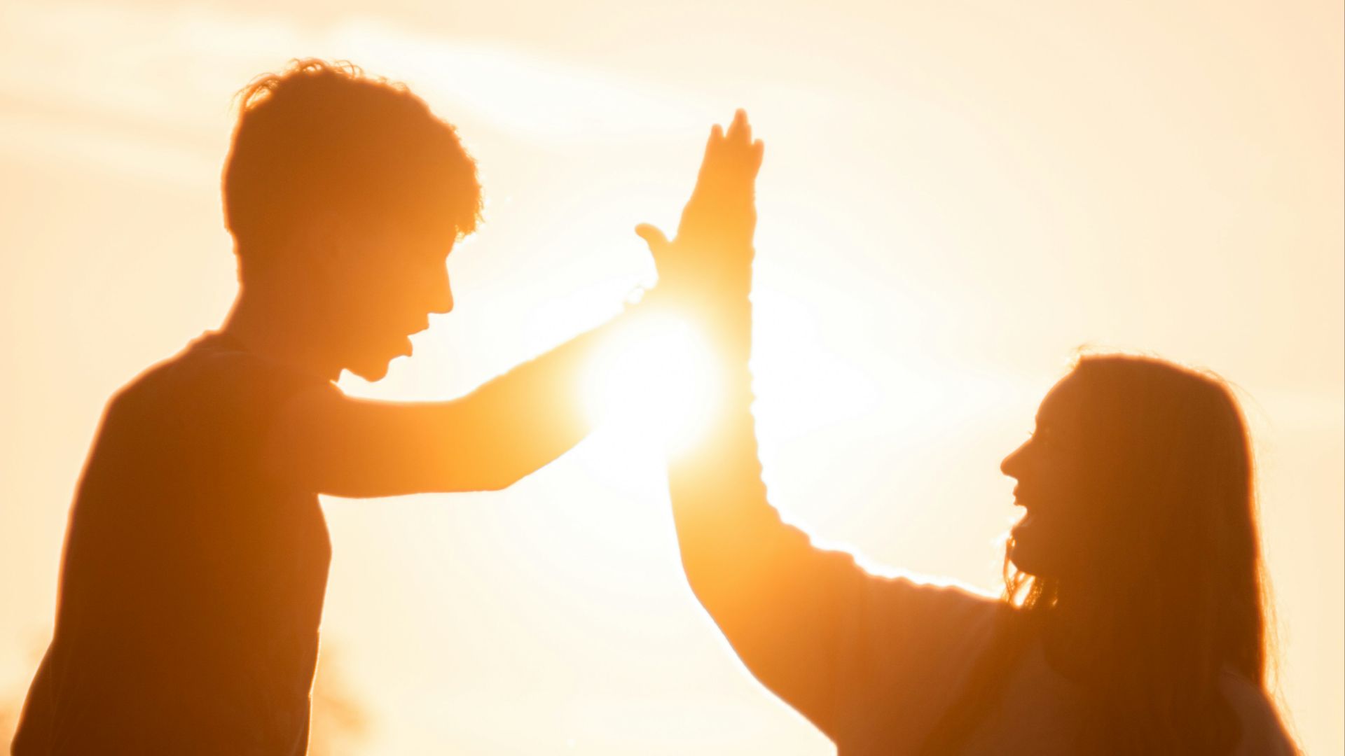 silhouette of man and woman holding hands during sunset