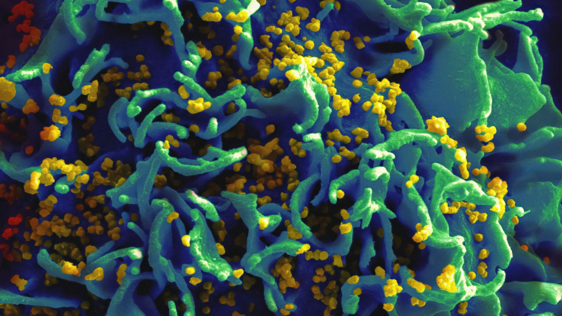 a close up of a blue and yellow substance