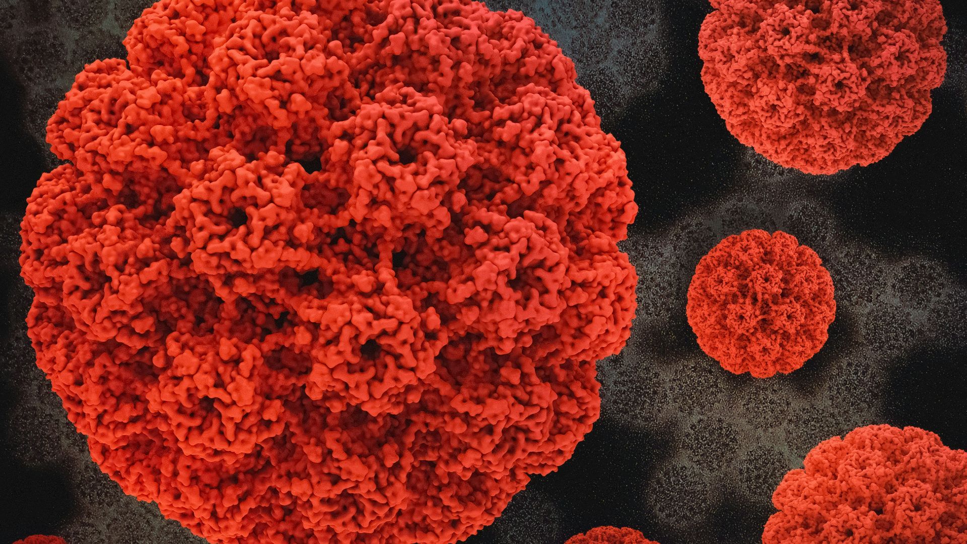 a close up of a red substance on a black background