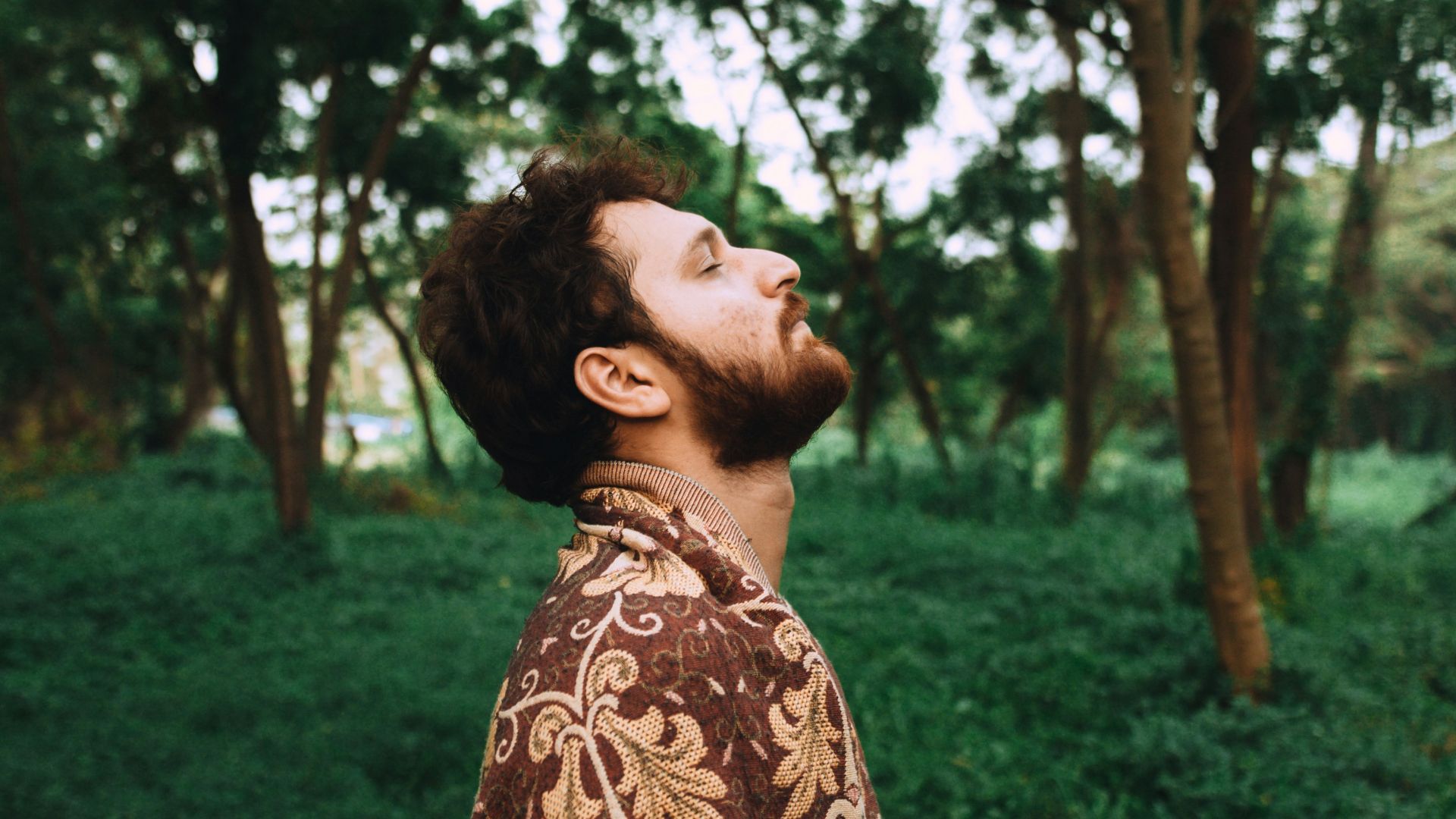 man standing near tree