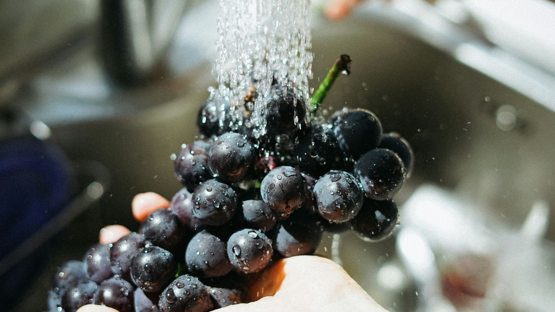 person washing purple grapes
