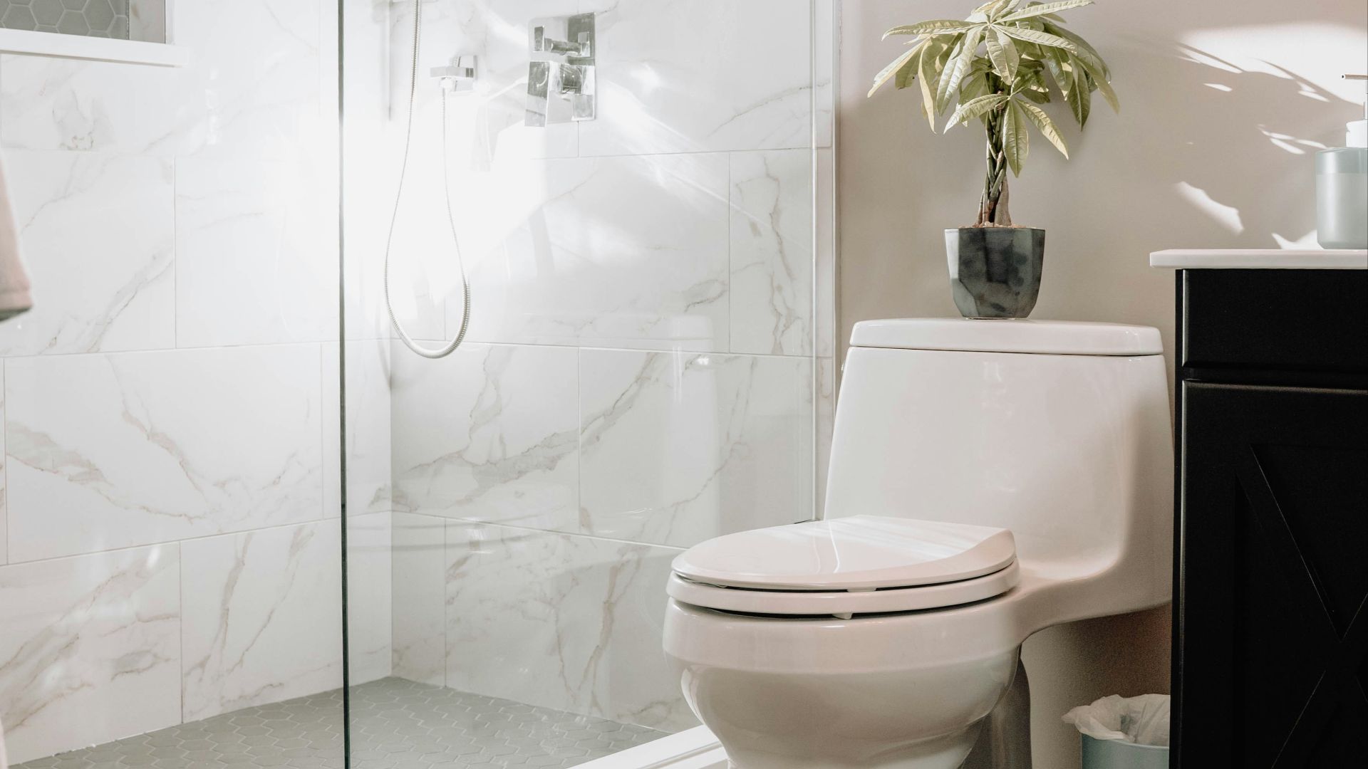 white ceramic toilet bowl beside white ceramic toilet bowl