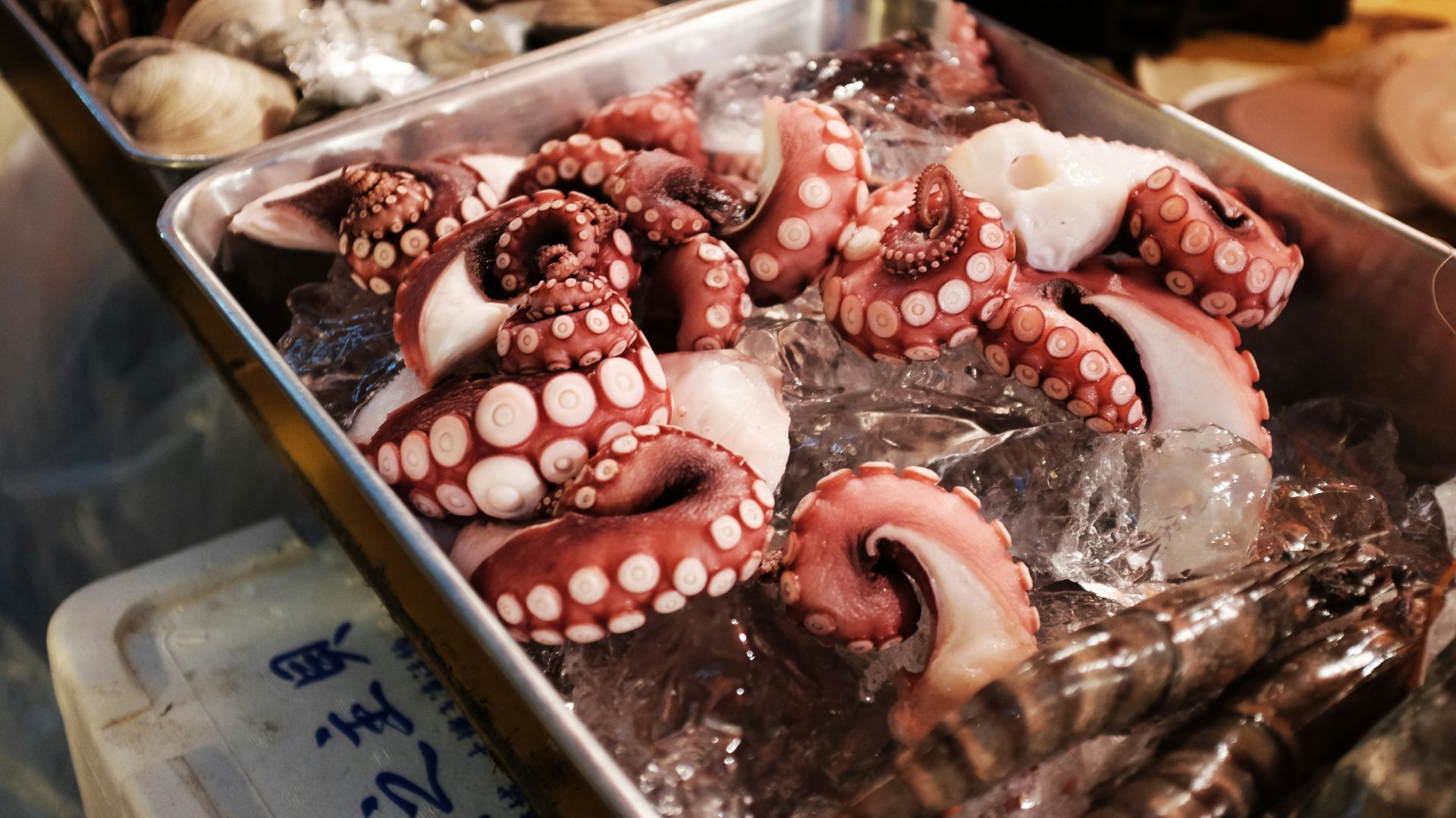 octopus on gray tray