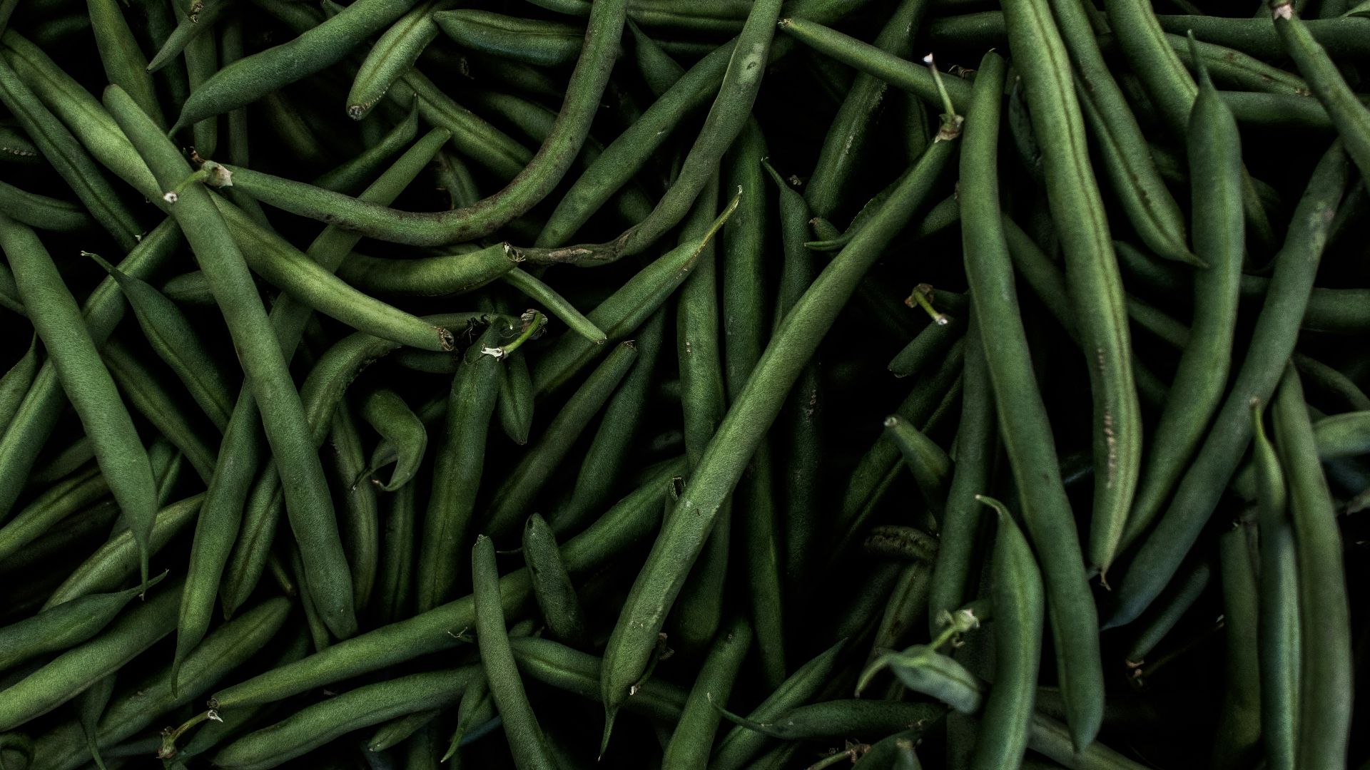 green string beans
