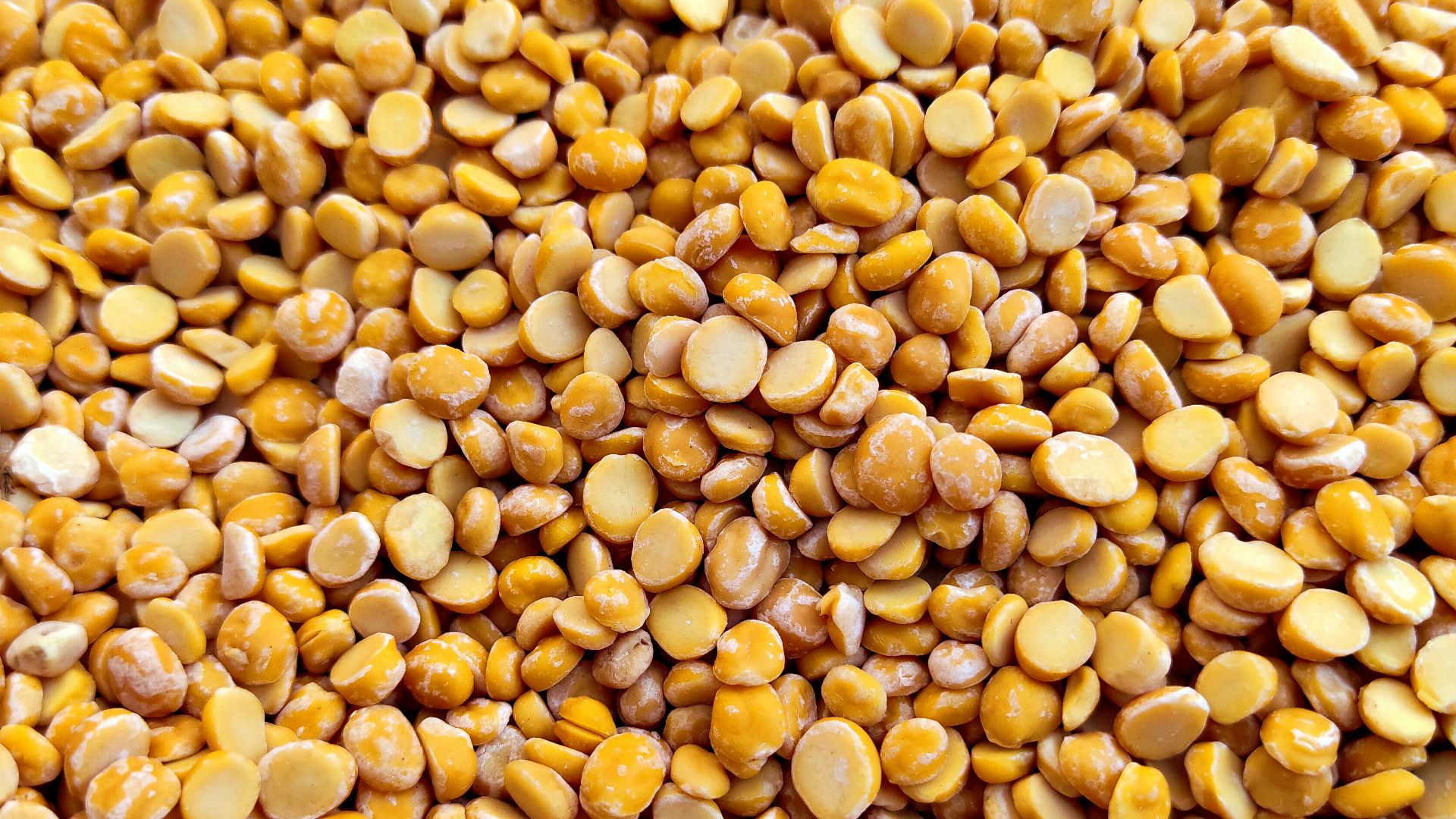 yellow and brown beans on brown wooden table