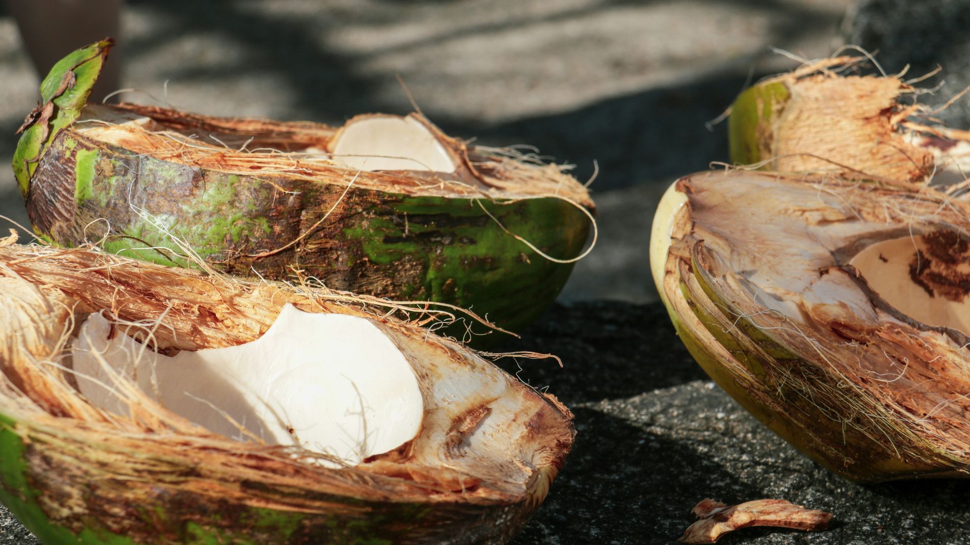 brown and green coconut shell on black soil