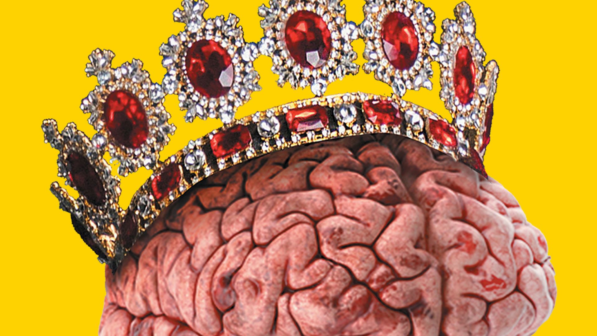 a close up of a flower