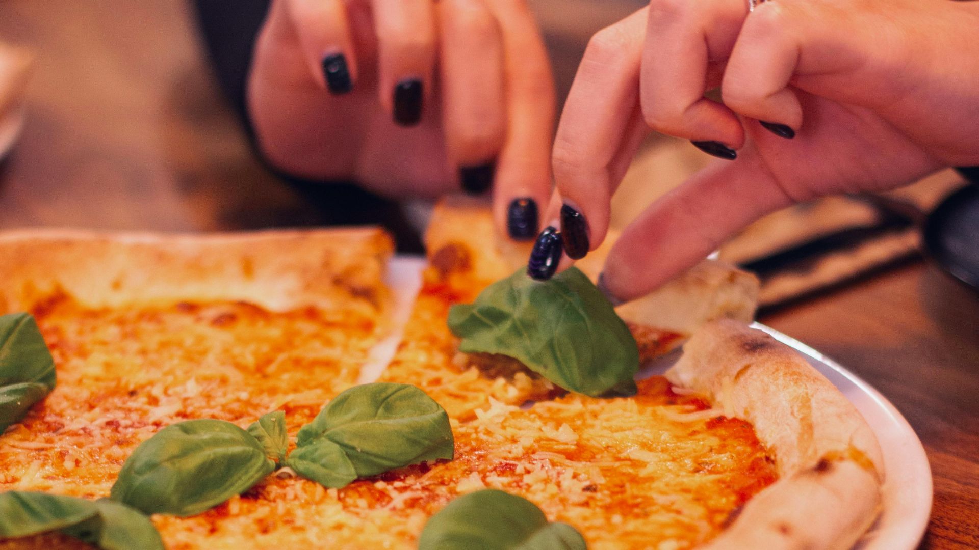 Софія Гаврись