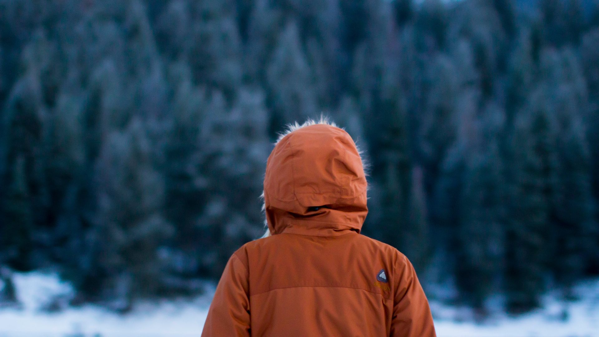 shallow focus photography of person facing trees
