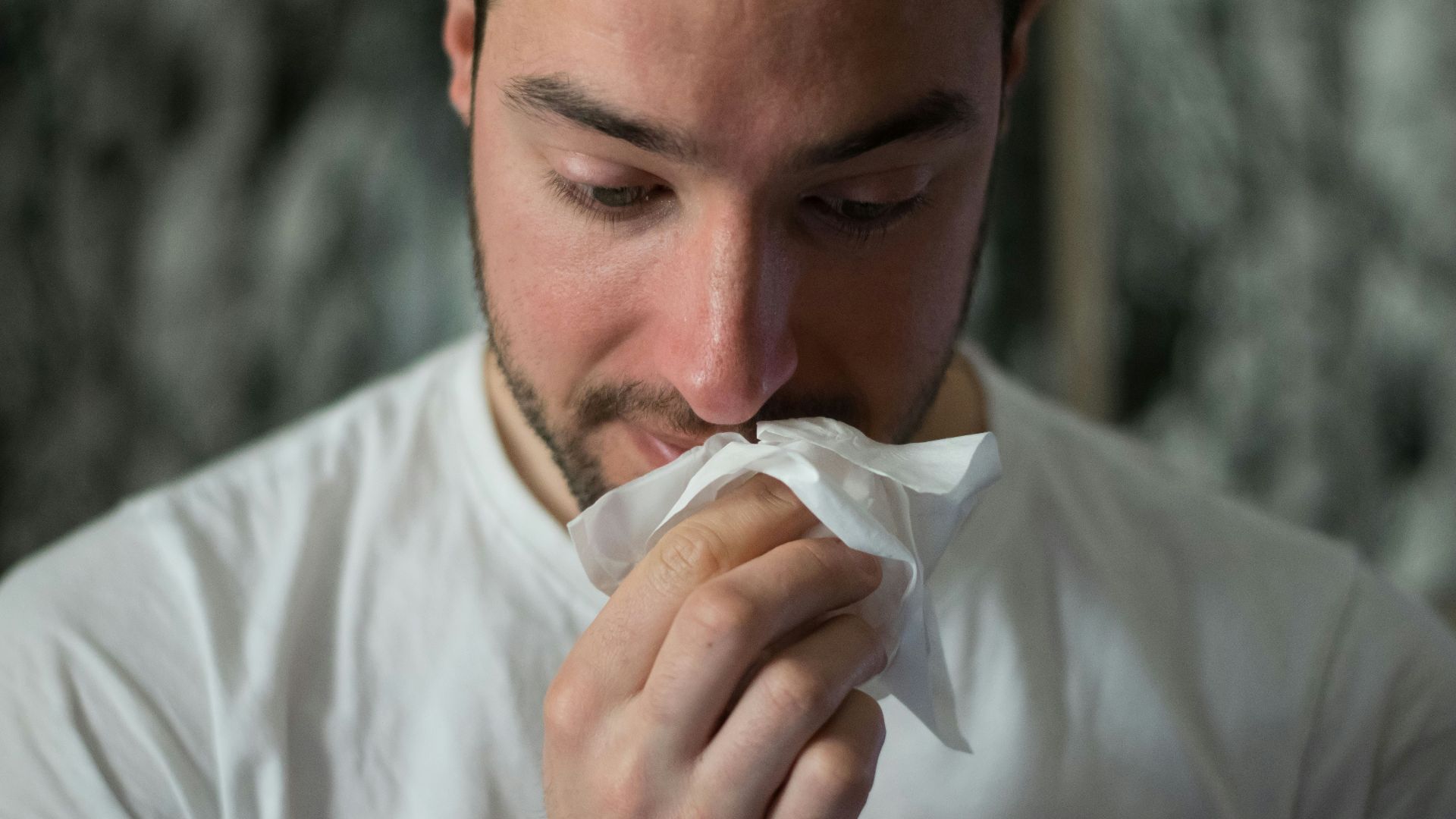 man wiping mouse with tissue paper