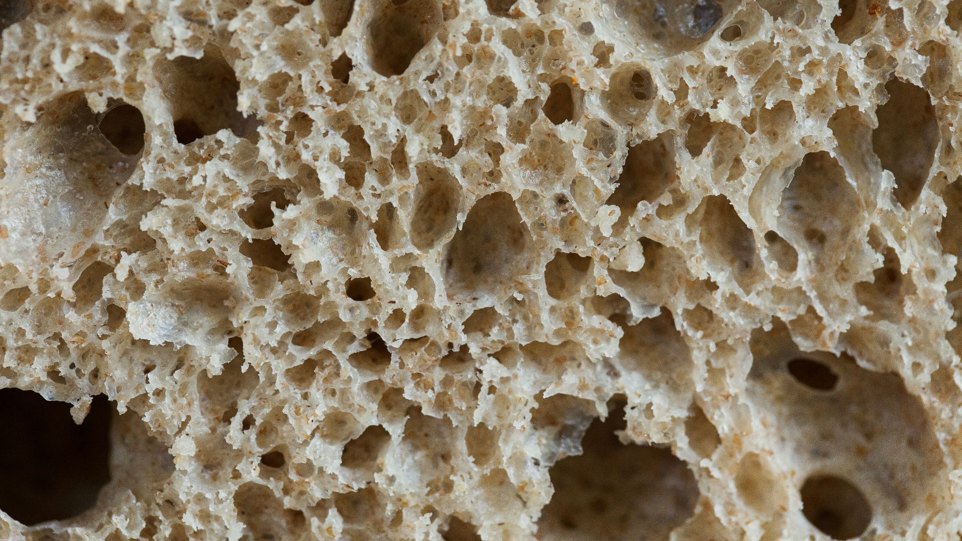 white and gray stone fragments